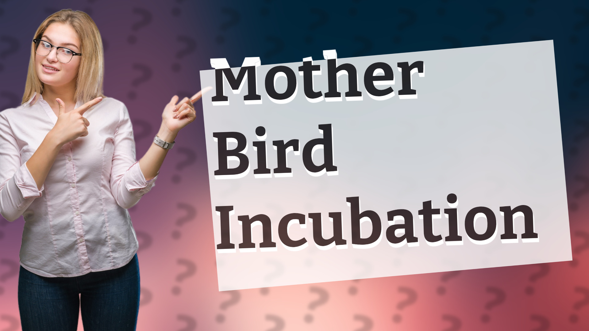 Mother Bird Incubation