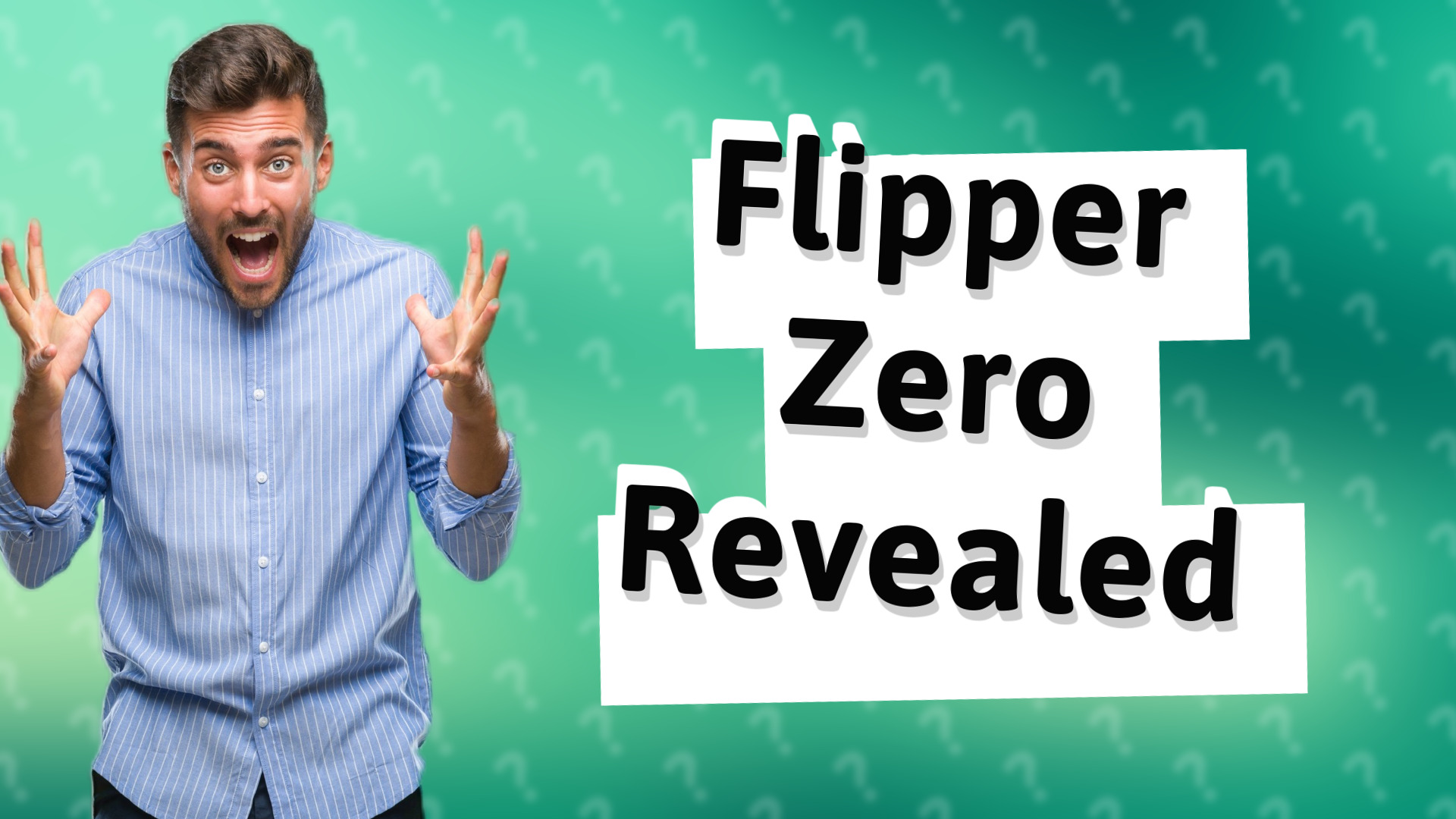 Flipper Zero Revealed
