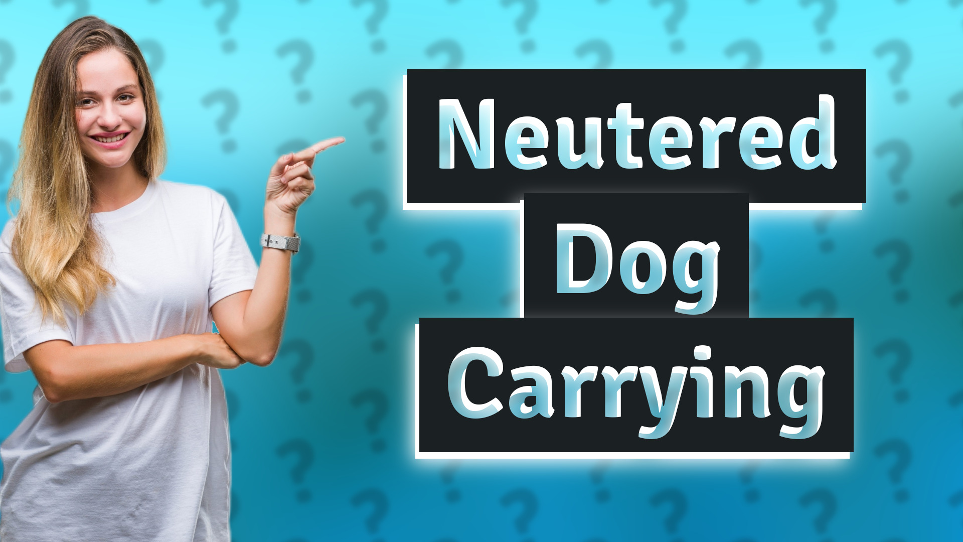Neutered Dog Carrying