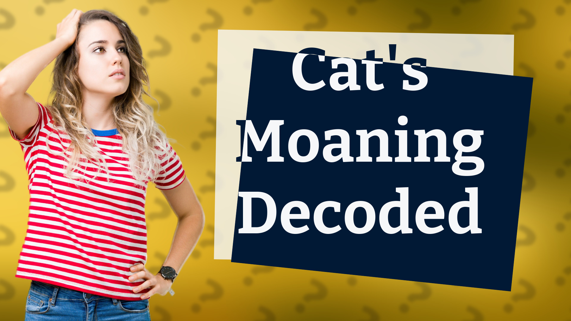 Cat's Moaning Decoded