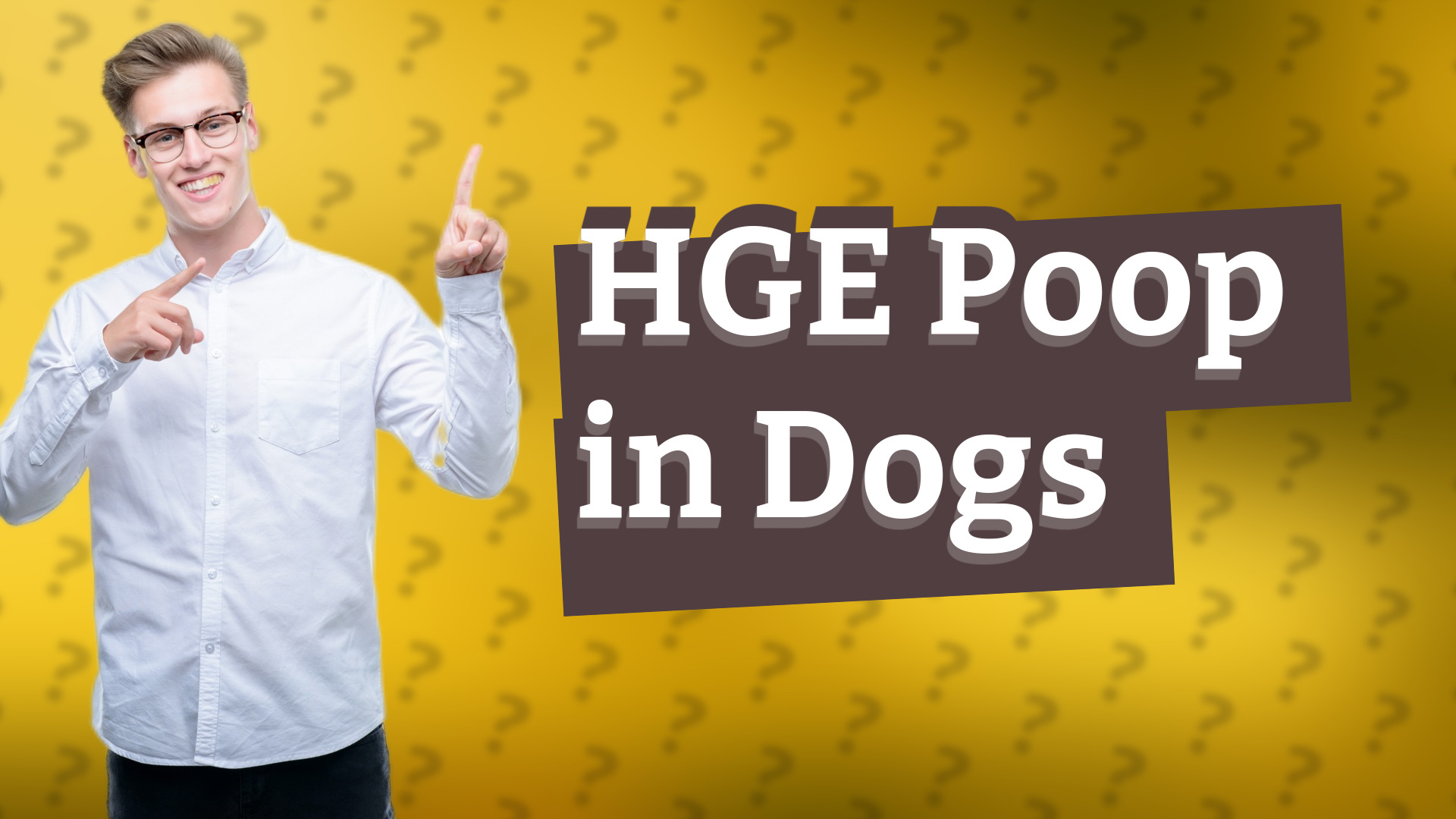 HGE Poop in Dogs