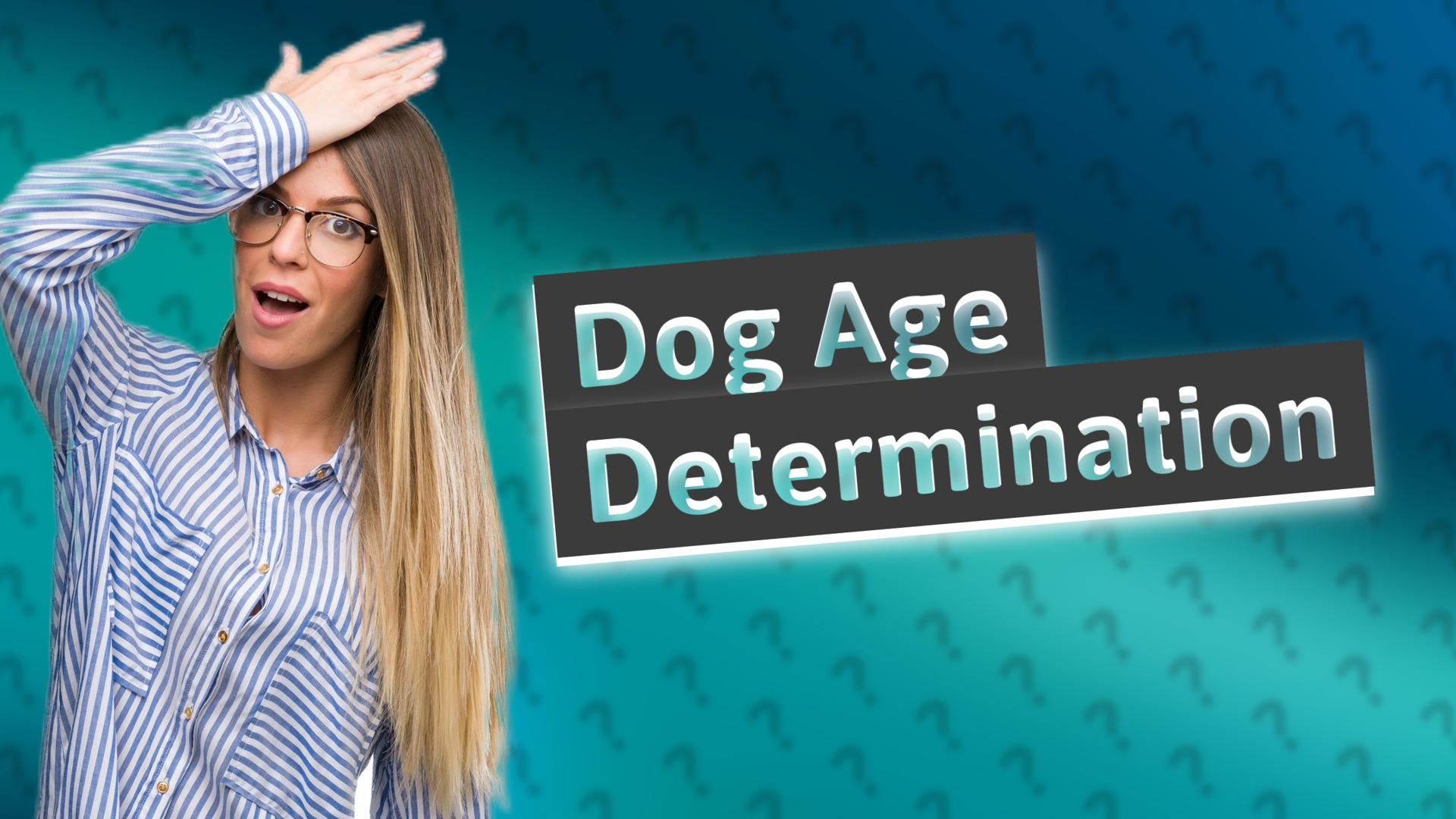 Dog Age Determination