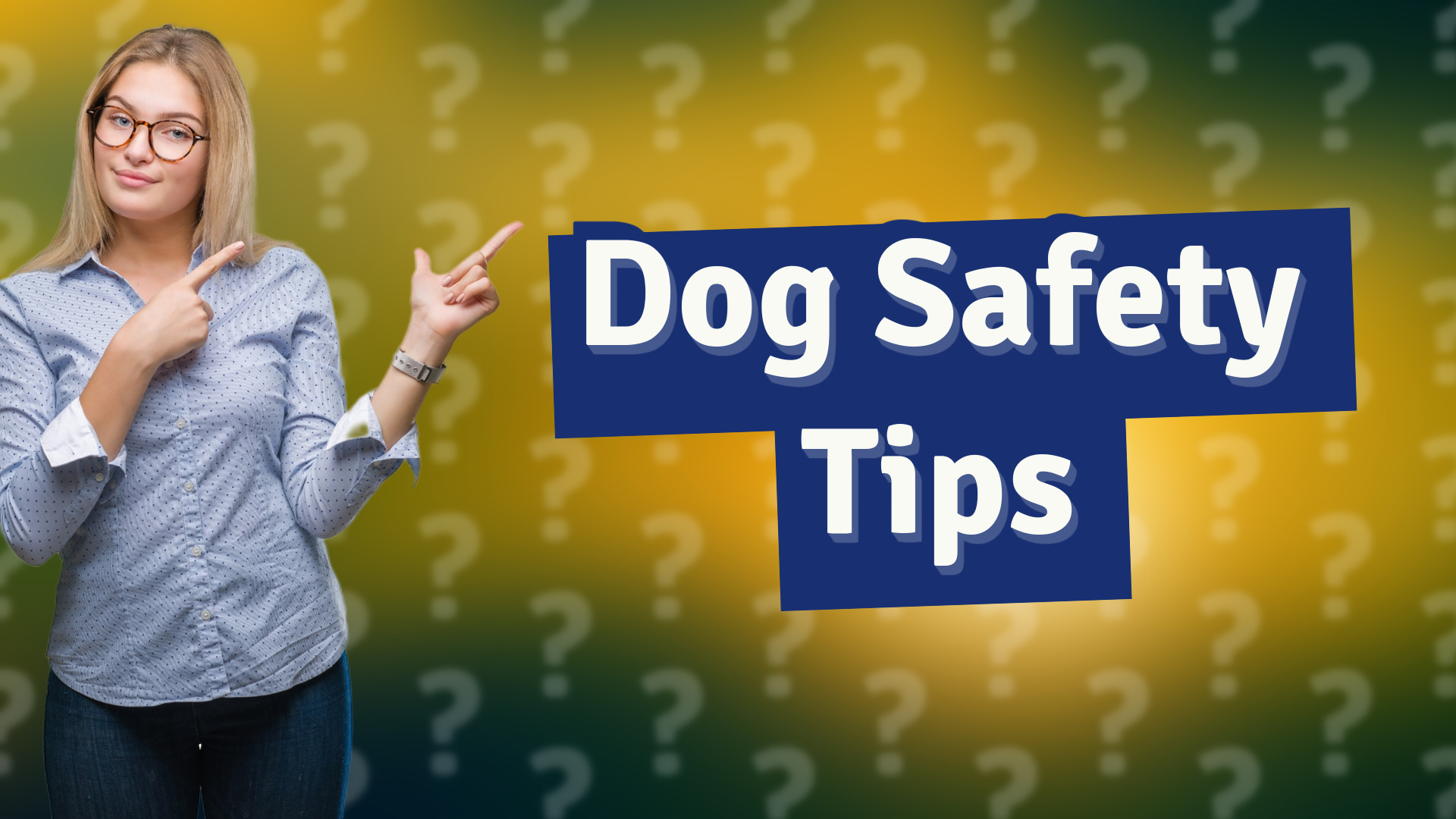 Dog Safety Tips