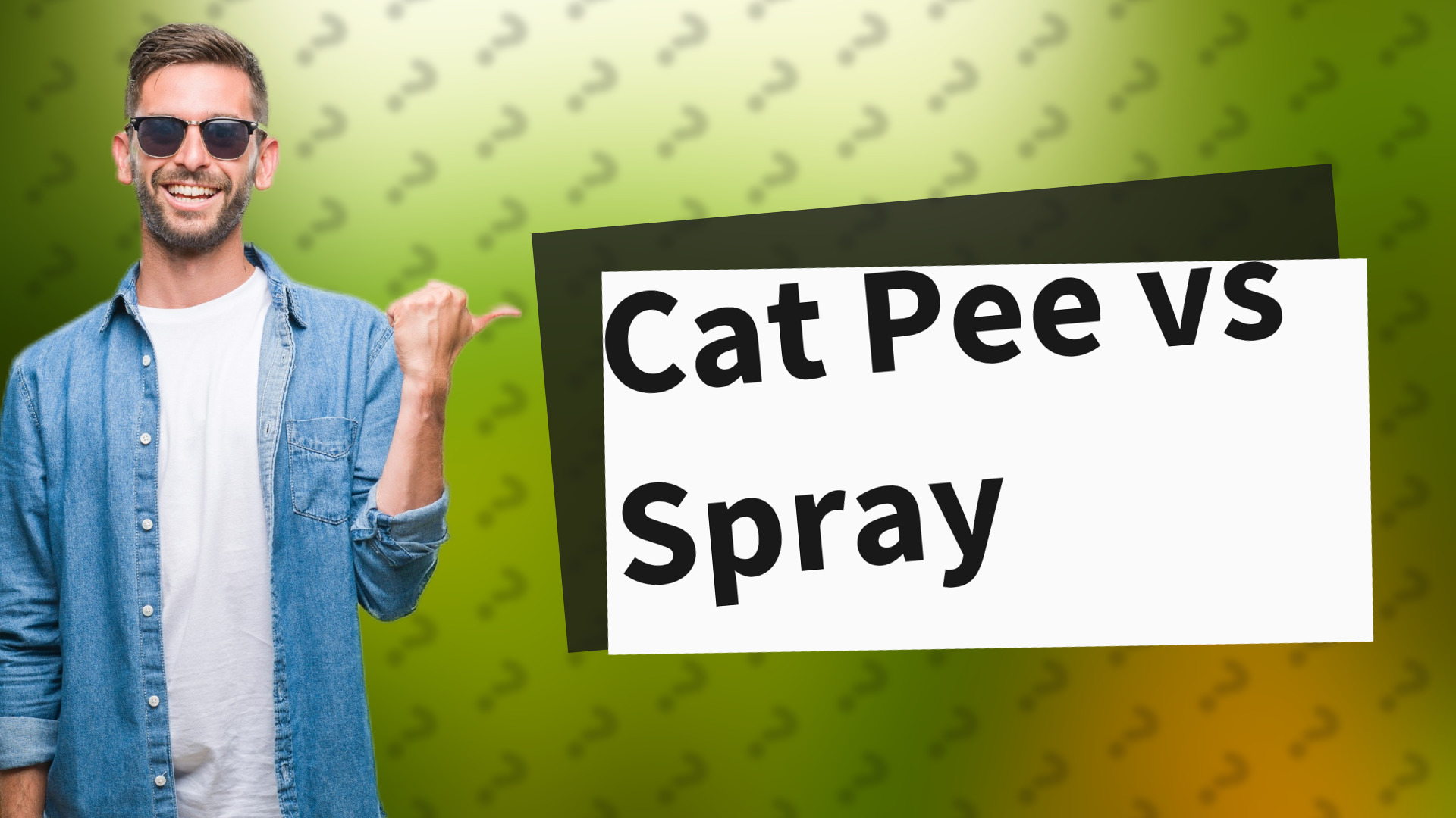 Cat Pee vs Spray