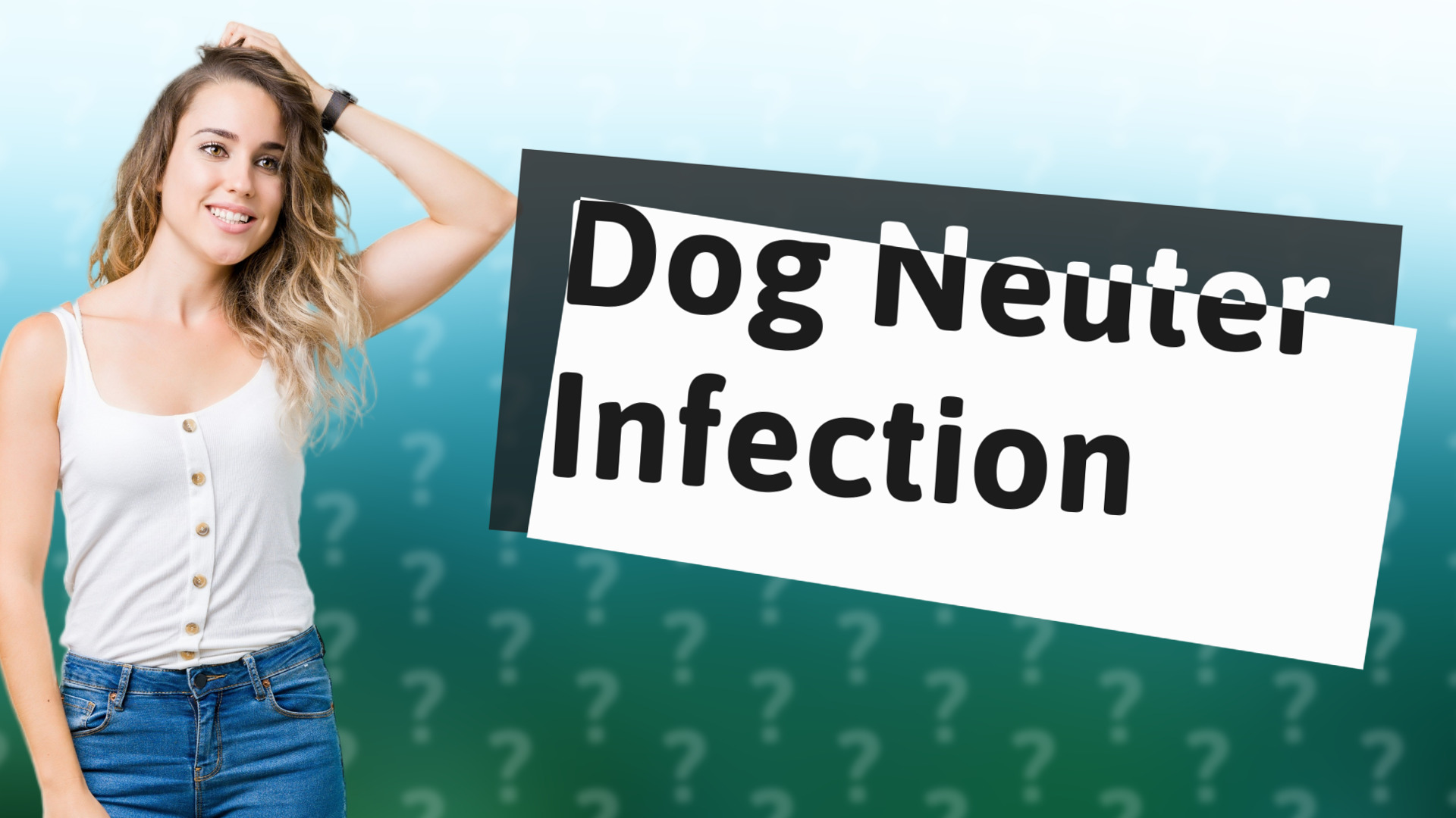 Dog Neuter Infection