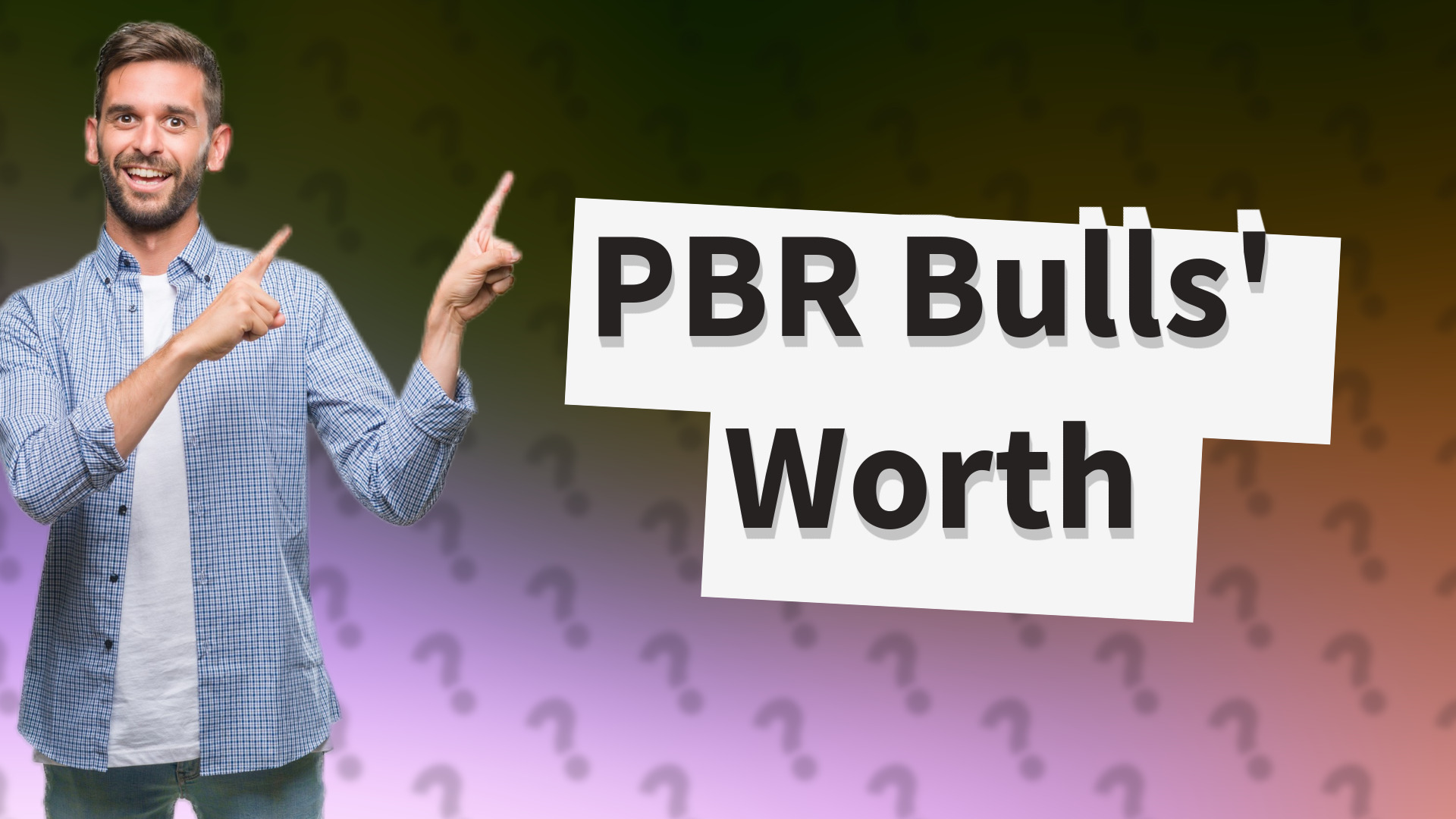 PBR Bulls' Worth