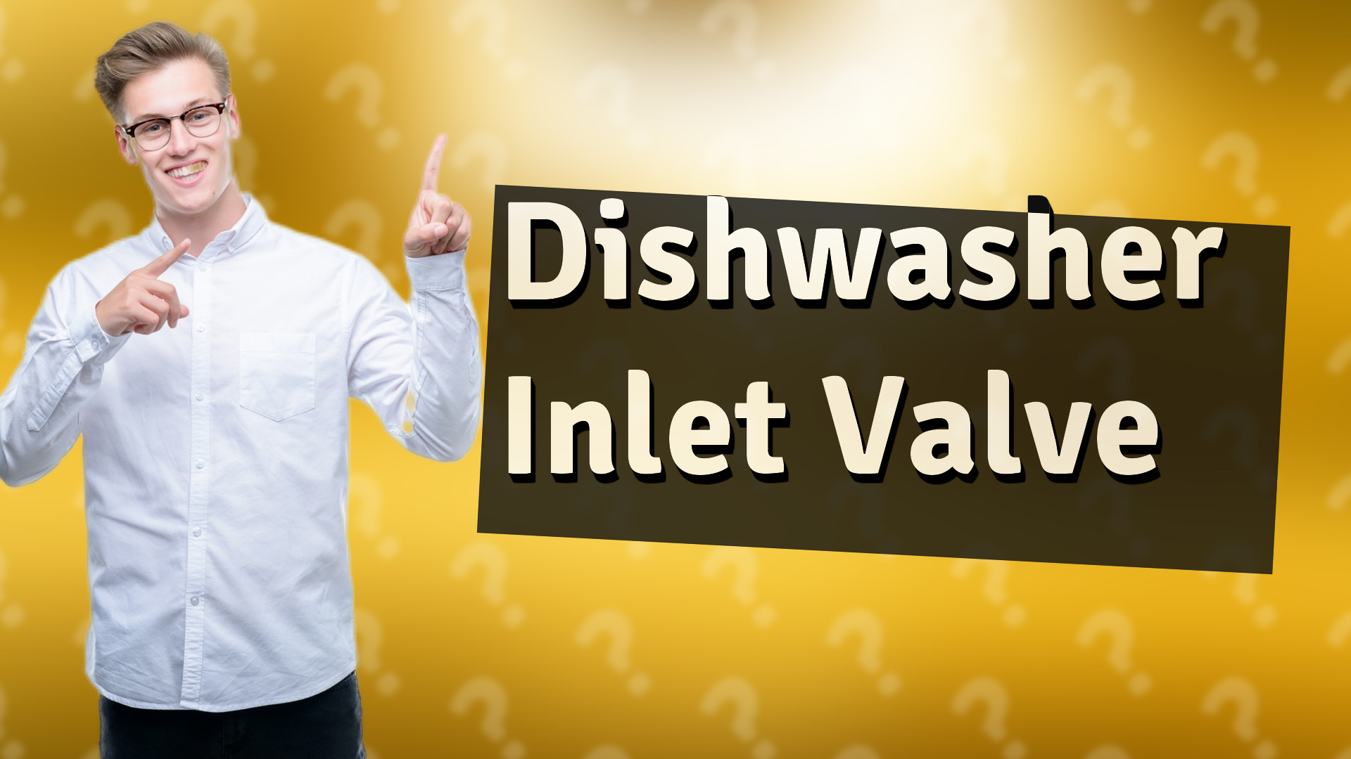 Dishwasher Inlet Valve