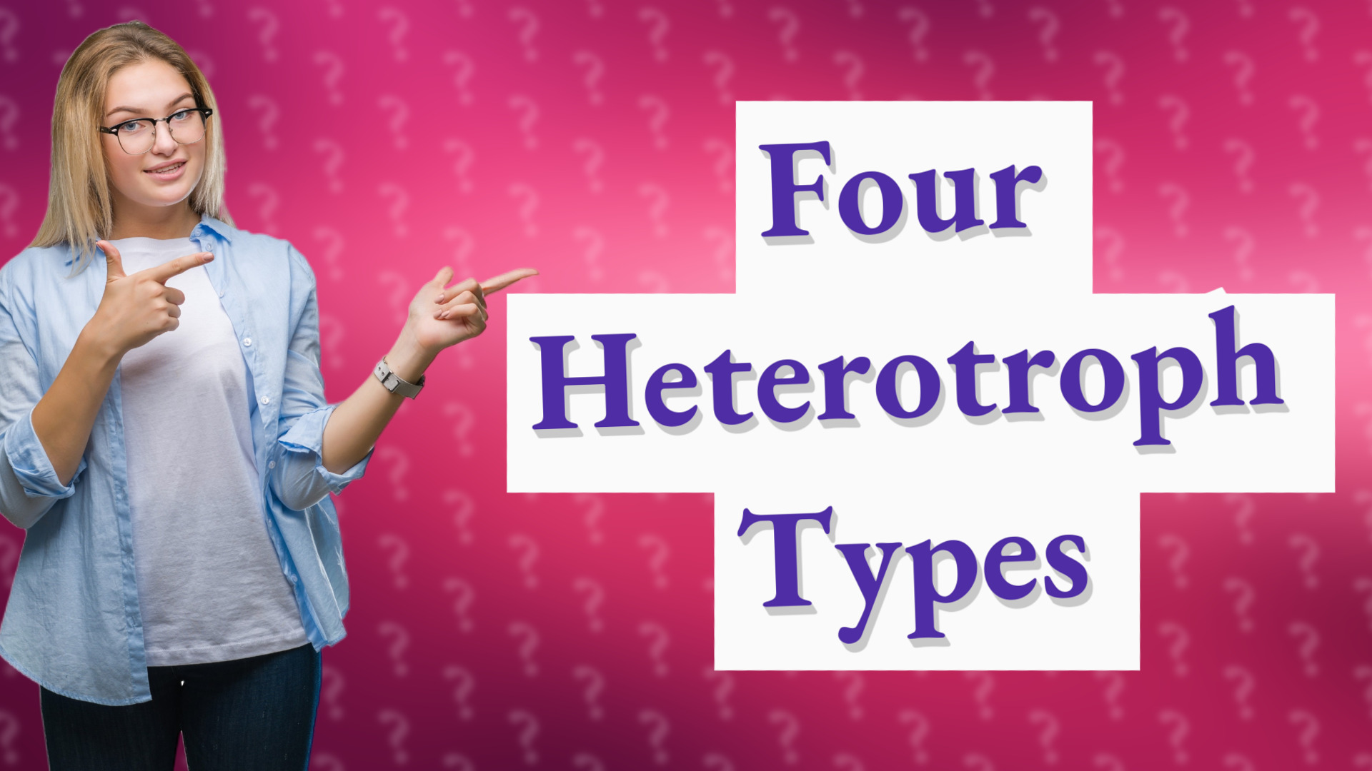 Four Heterotroph Types