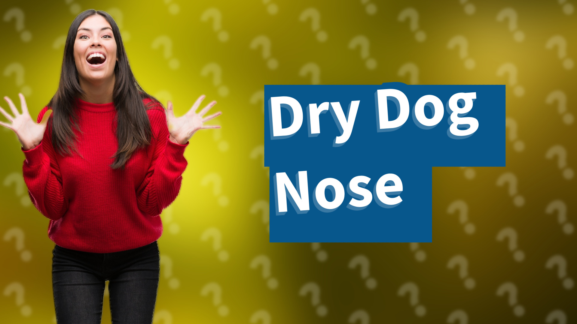 Dry Dog Nose