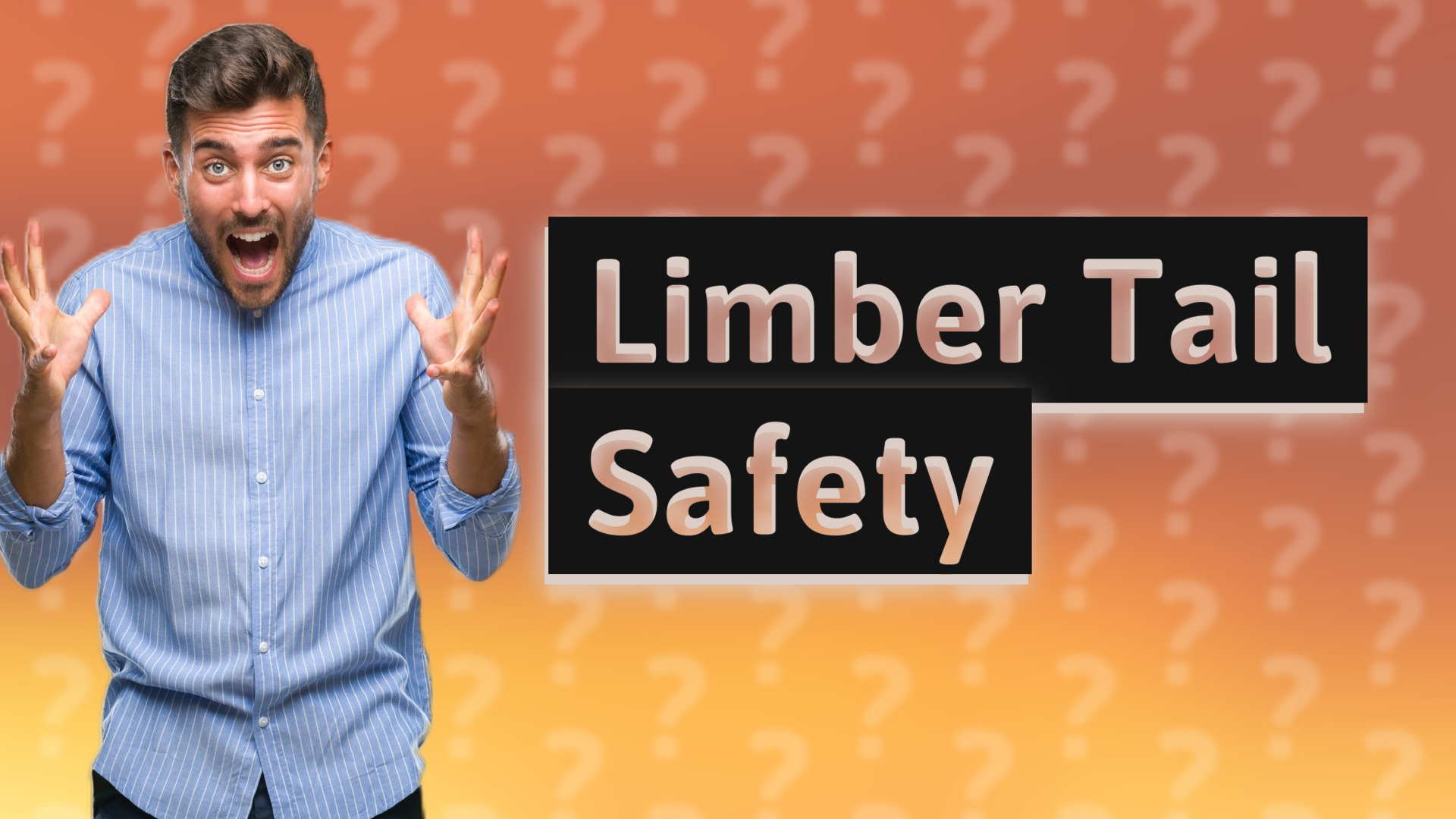 Limber Tail Safety
