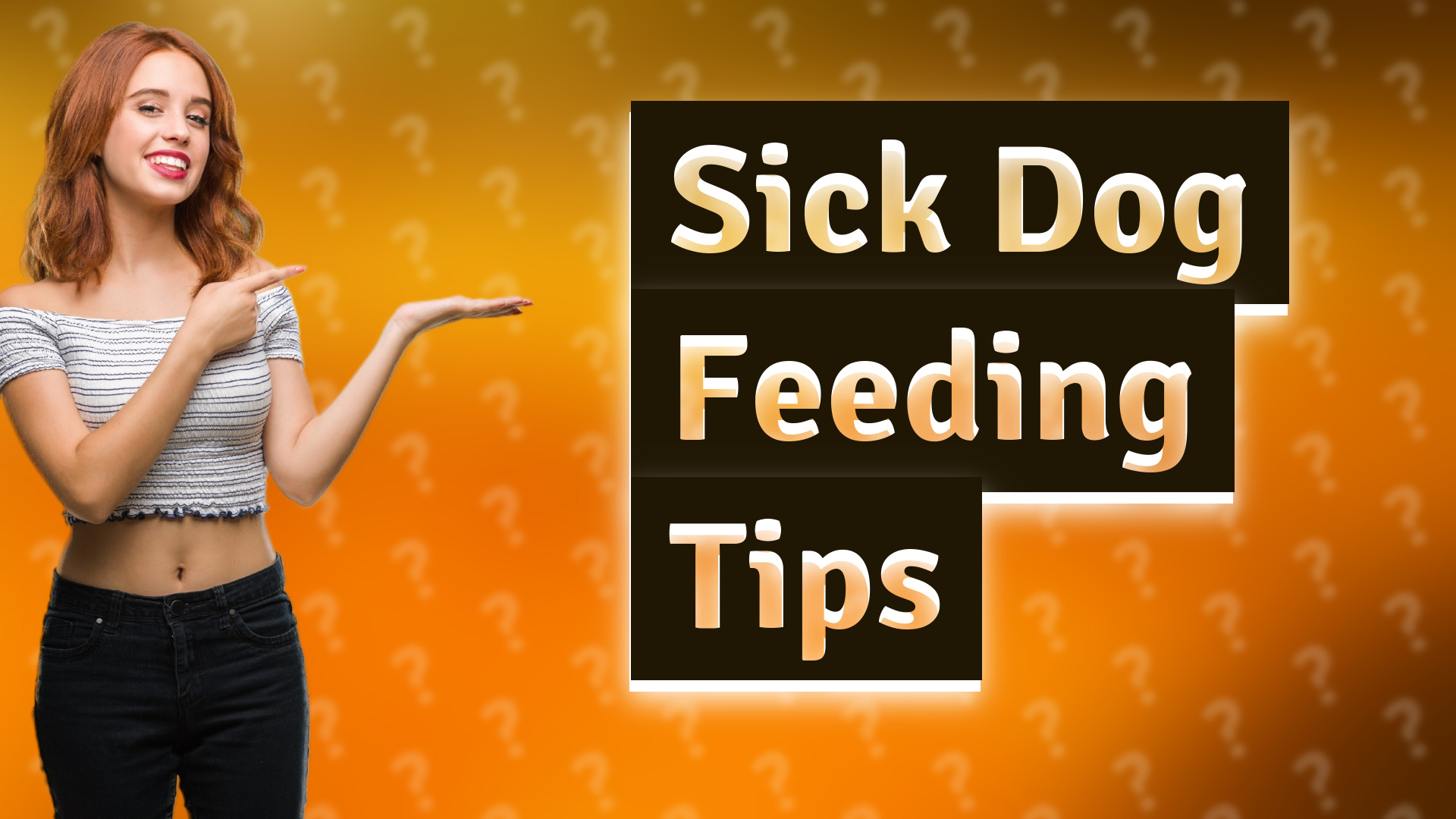 Sick Dog Feeding Tips