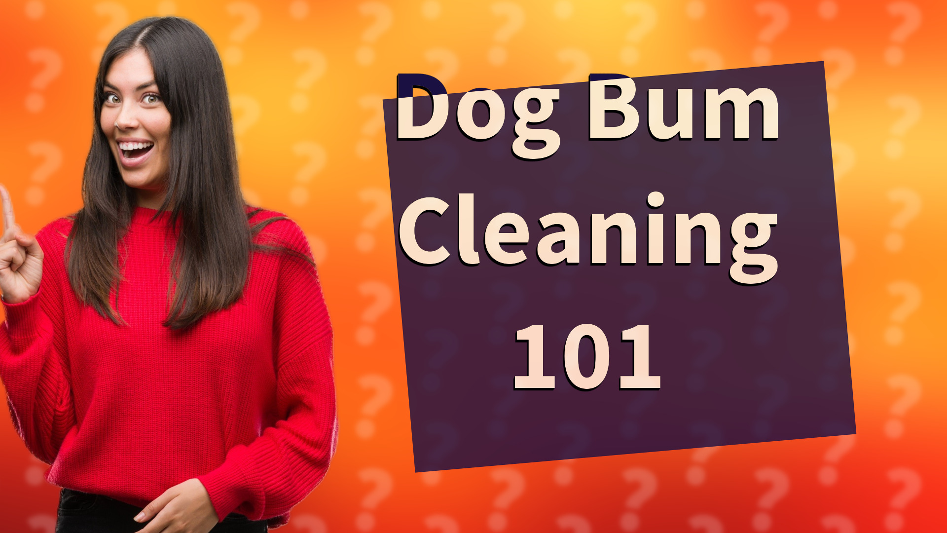 Dog Bum Cleaning 101