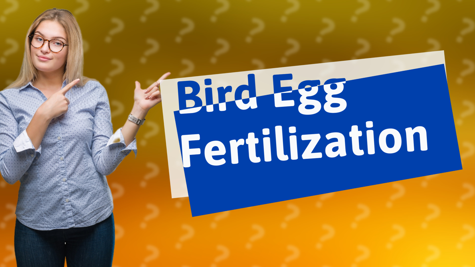 Bird Egg Fertilization