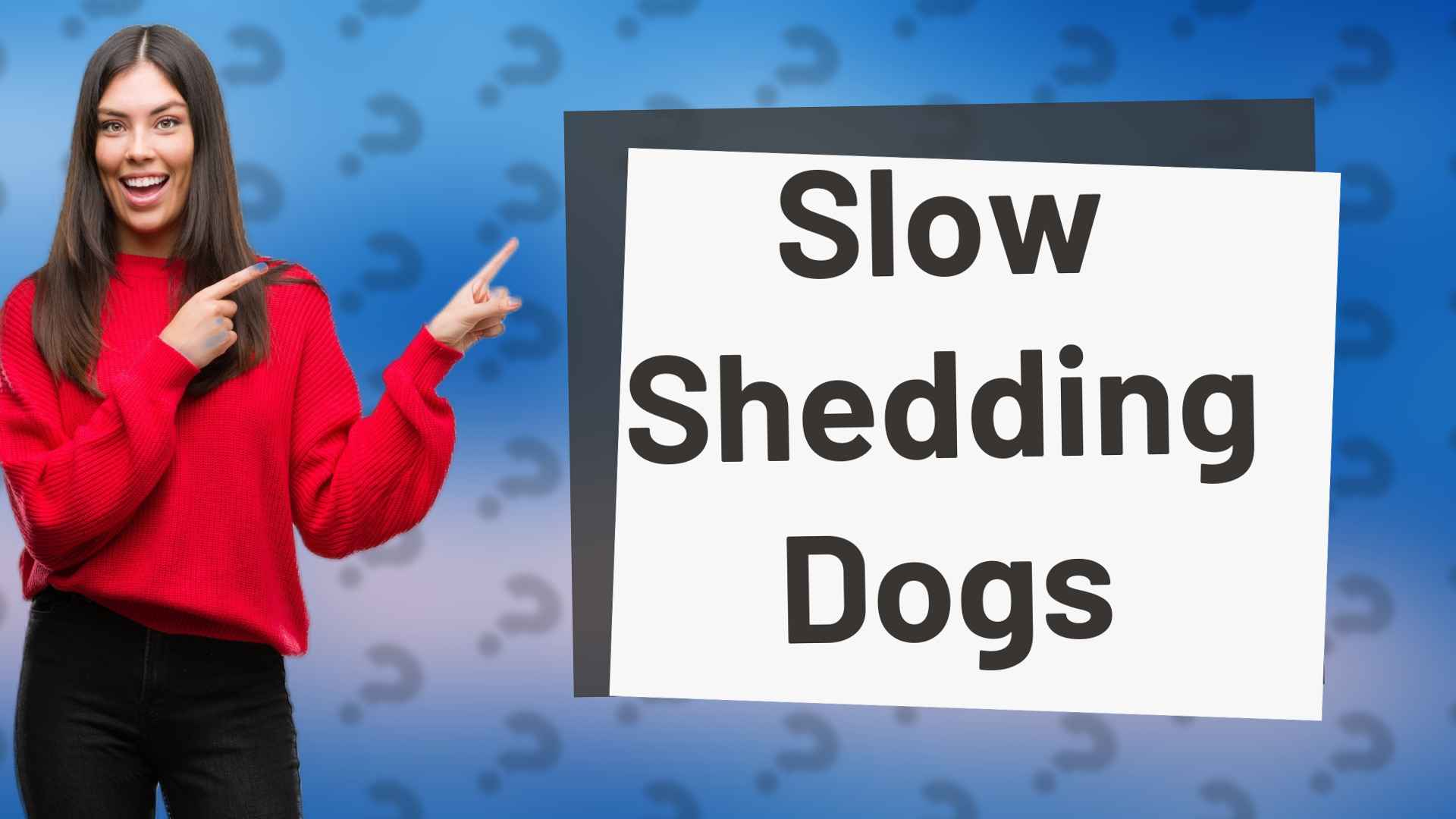Slow Shedding Dogs