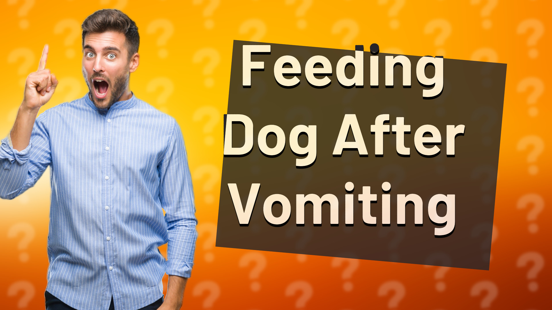 Feeding Dog After Vomiting