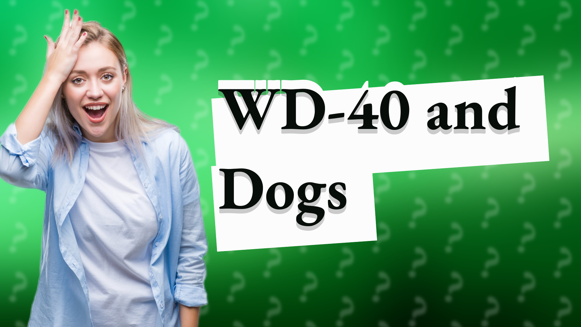 WD-40 and Dogs