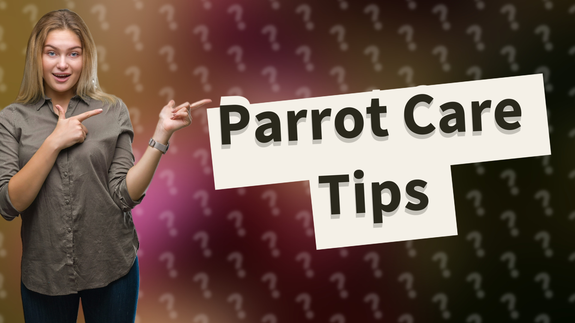 Parrot Care Tips