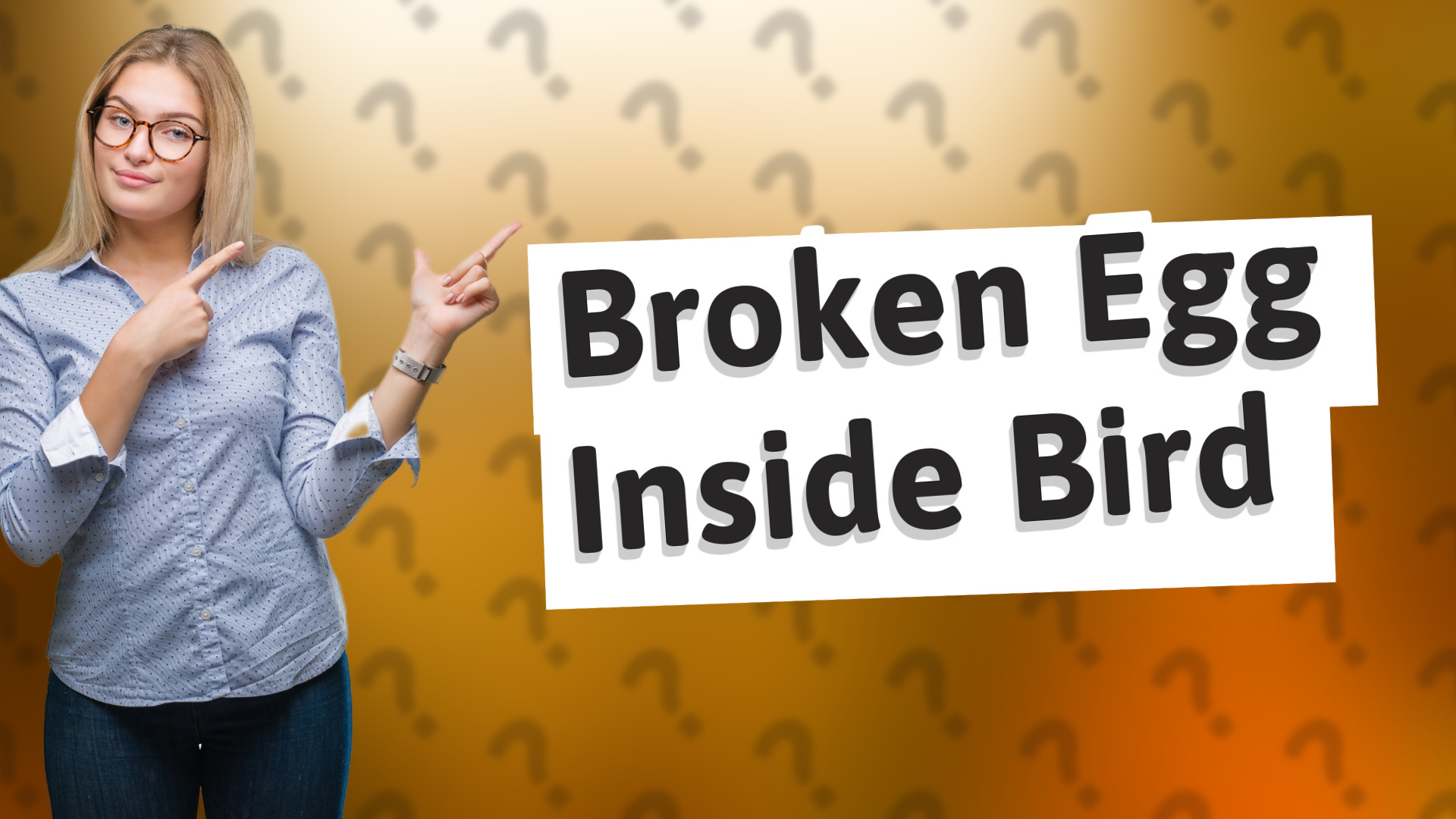 Broken Egg Inside Bird