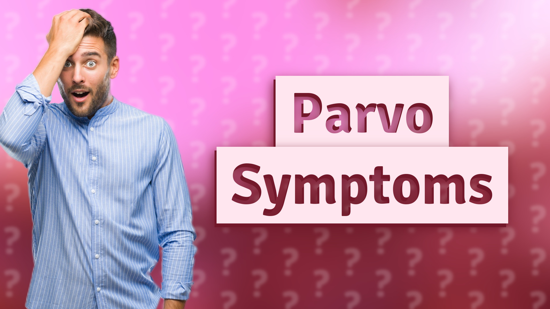 Parvo Symptoms