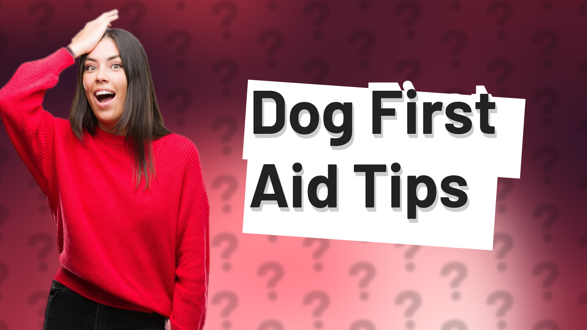 Dog First Aid Tips