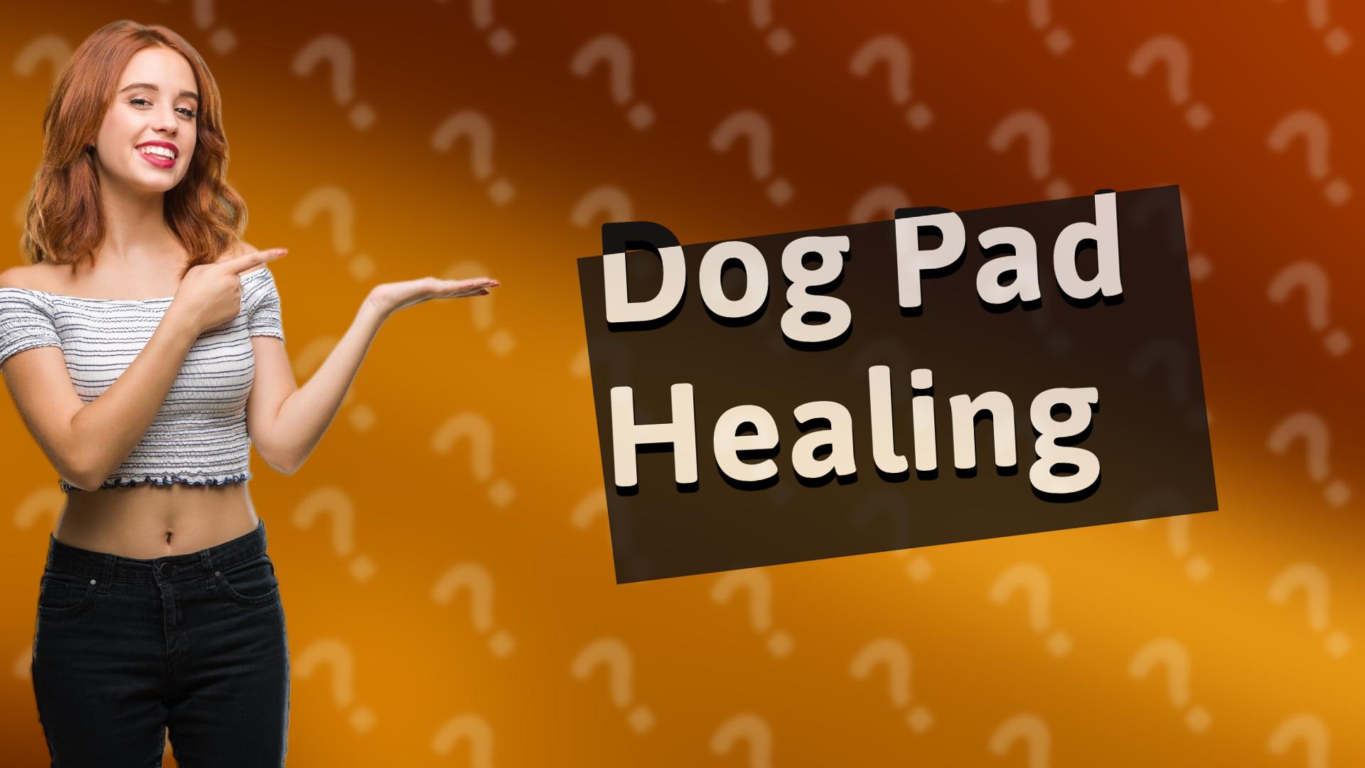 Dog Pad Healing