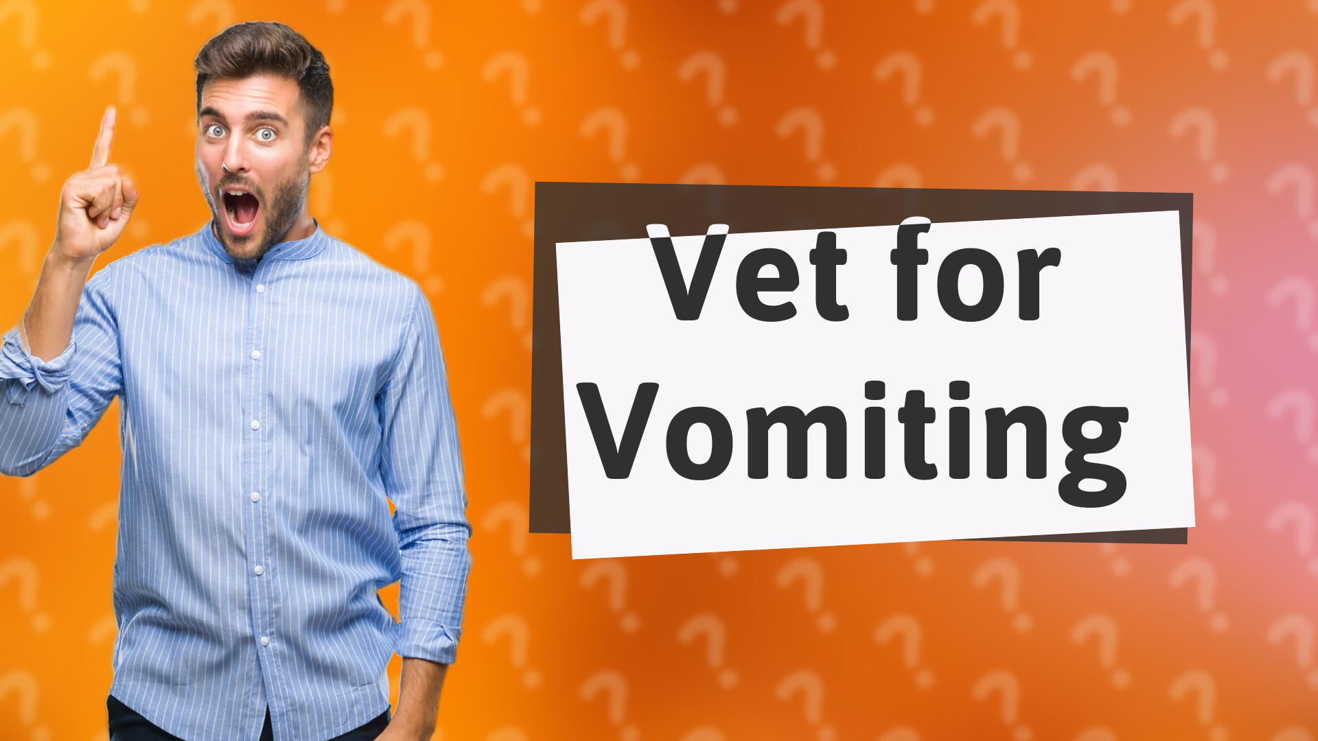 Vet for Vomiting