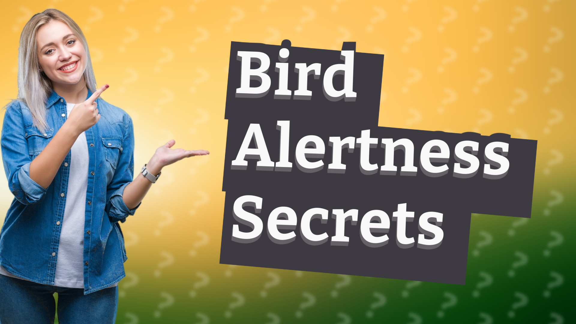 Bird Alertness Secrets