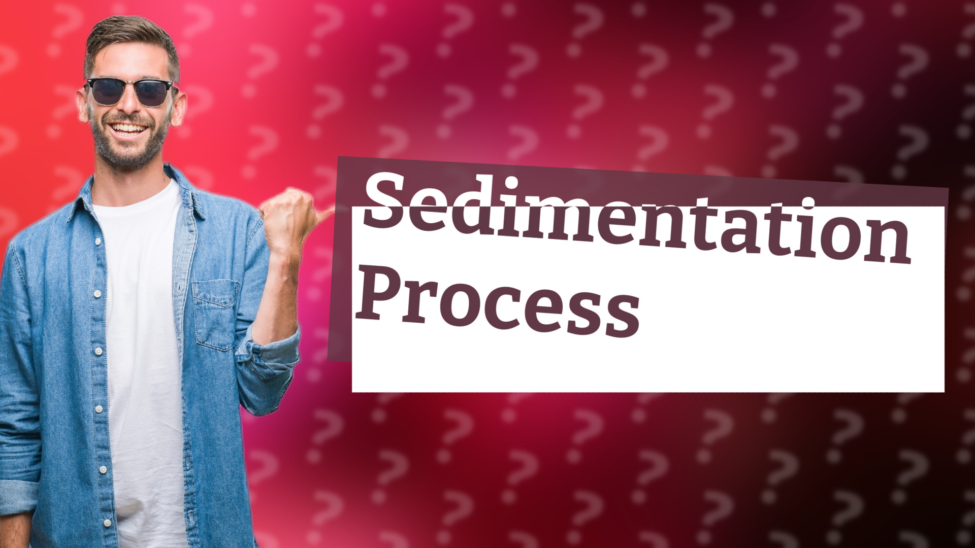 Sedimentation Process