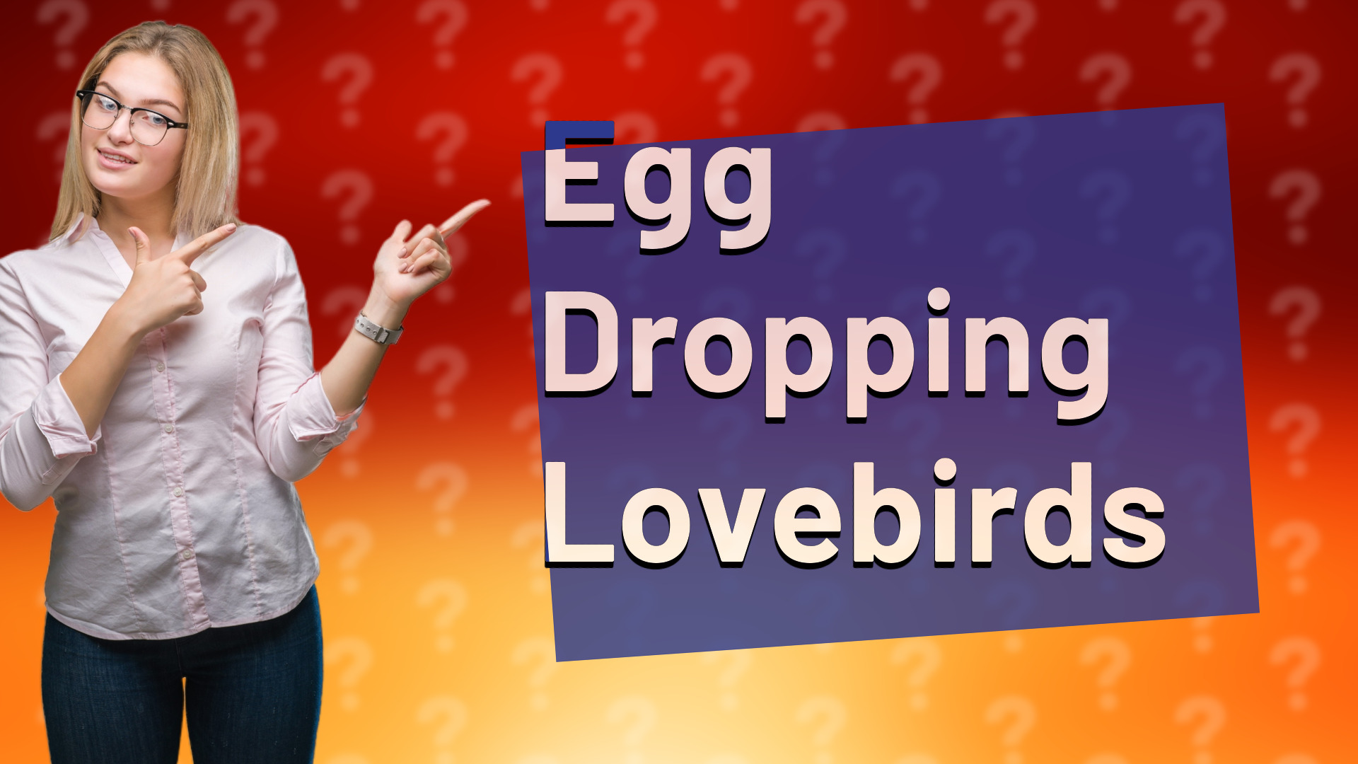 Egg Dropping Lovebirds