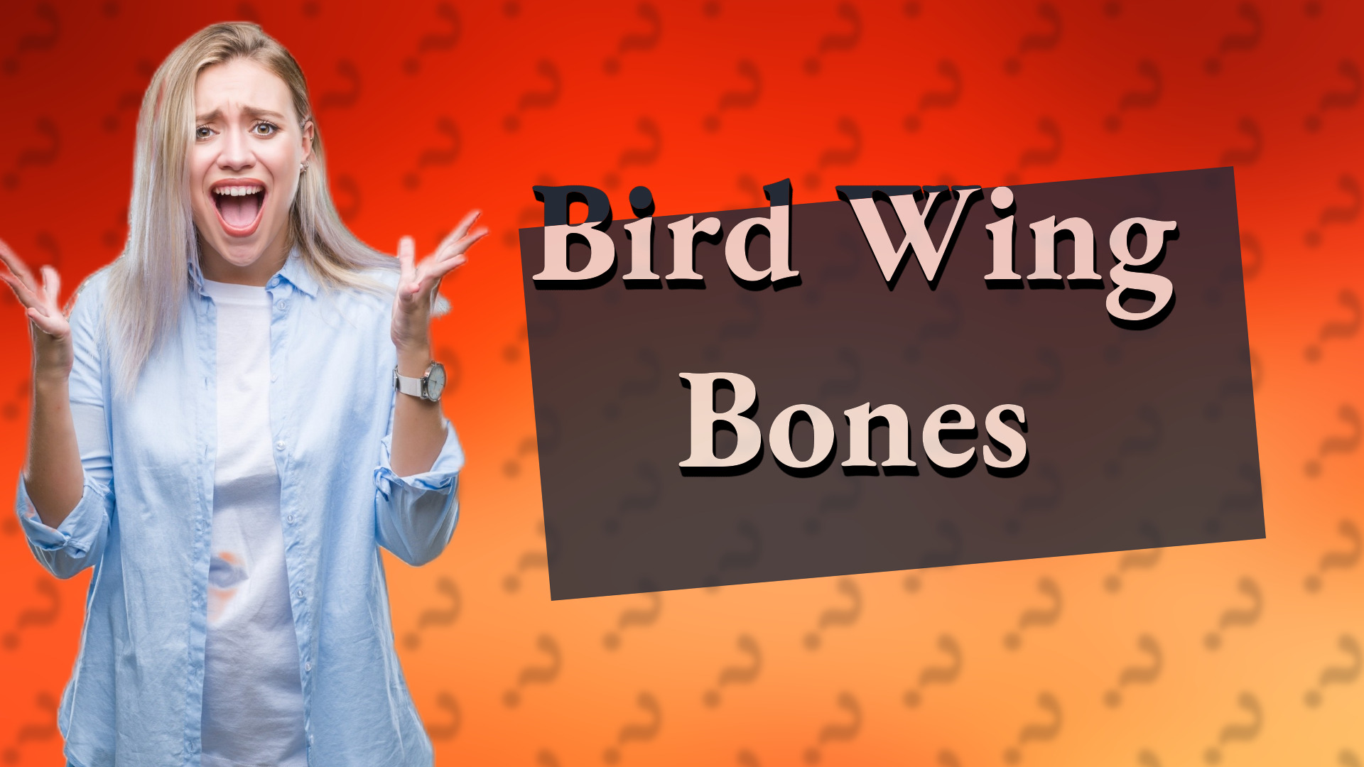 Bird Wing Bones