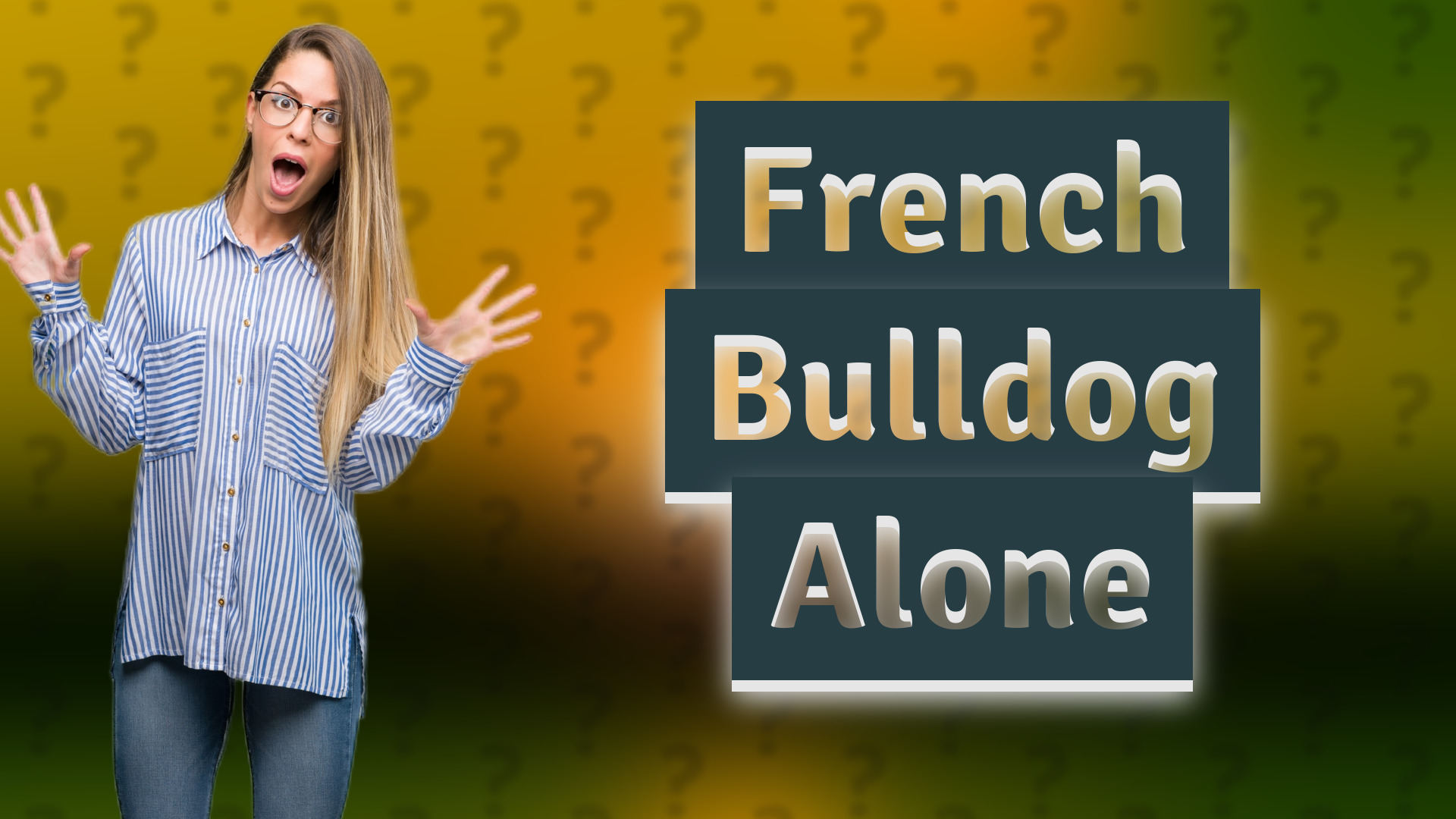 French Bulldog Alone