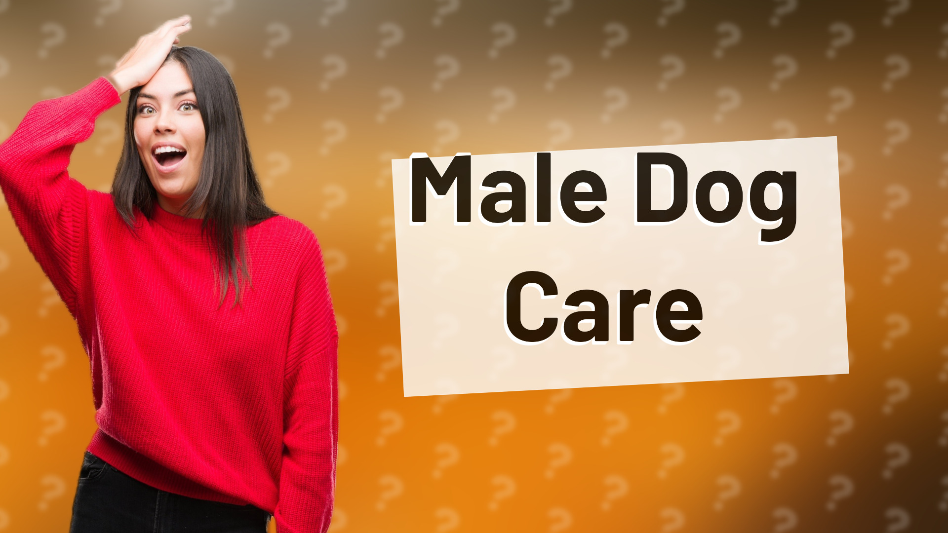 Male Dog Care
