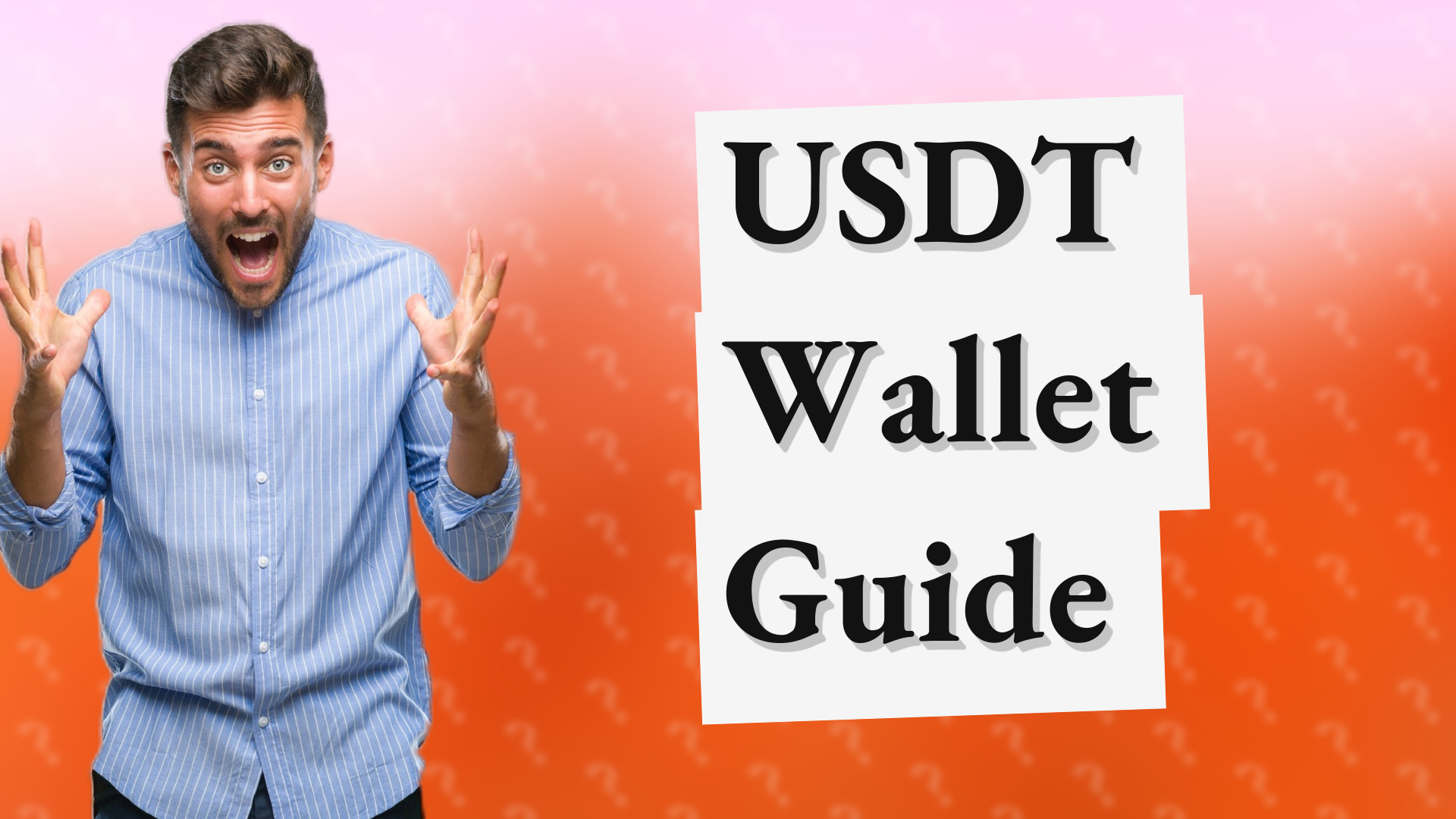 USDT Wallet Guide
