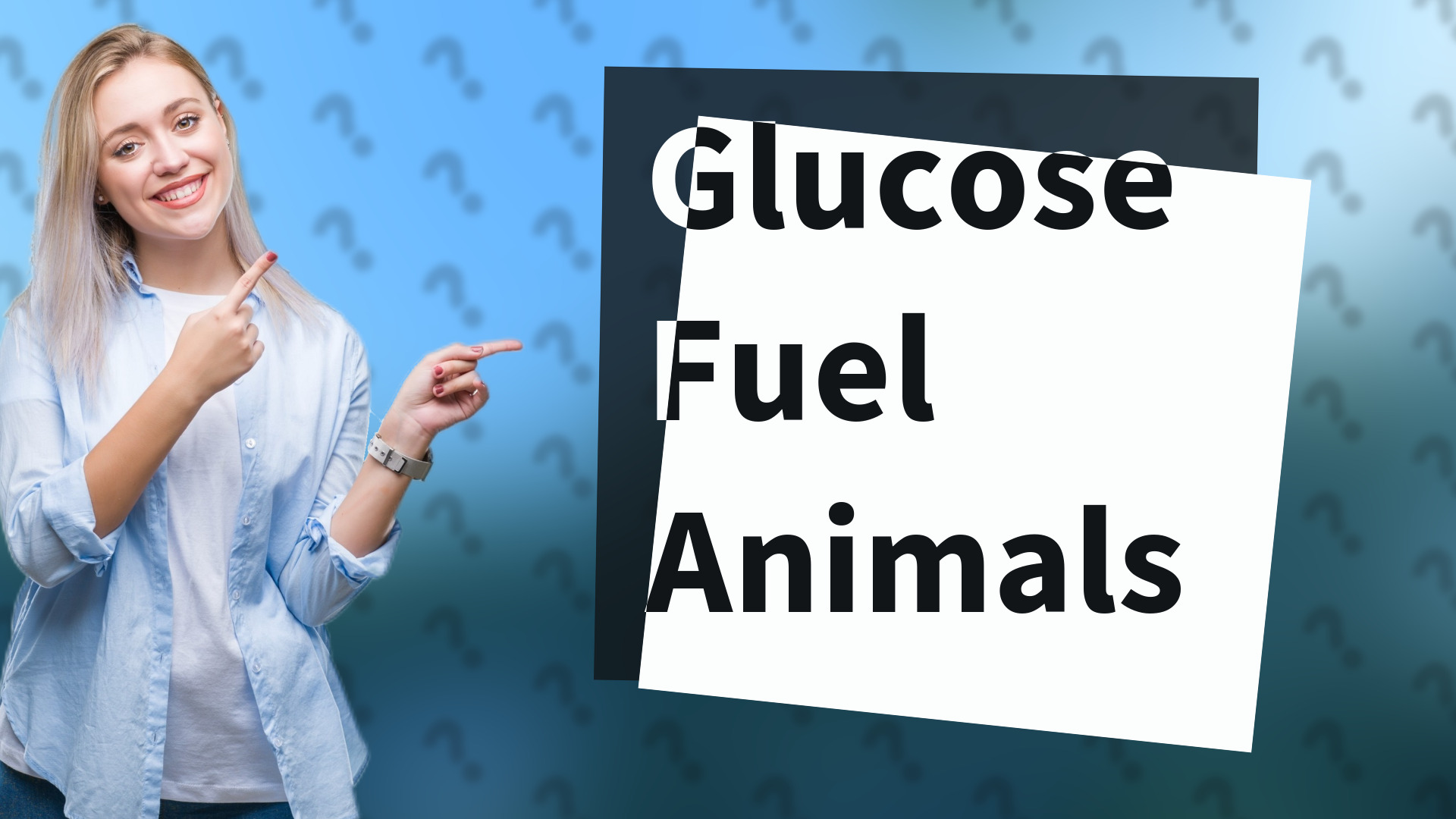 Glucose Fuel Animals