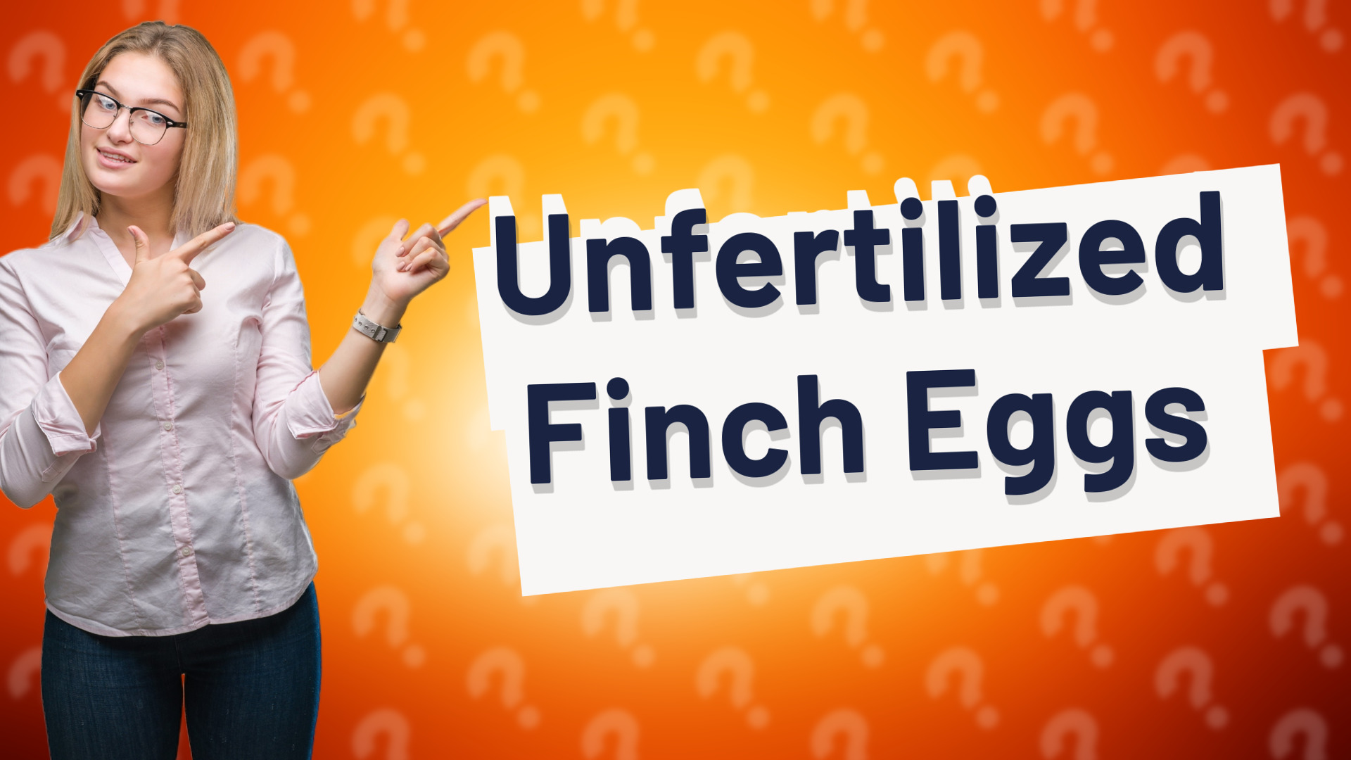 Unfertilized Finch Eggs