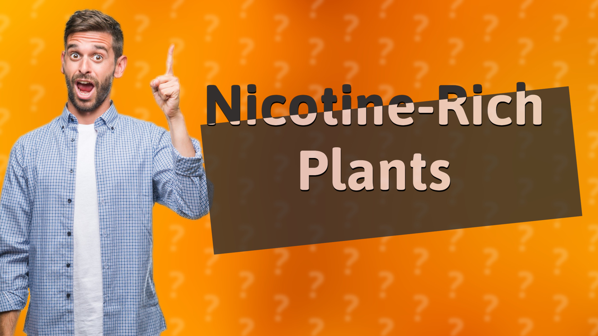 Nicotine-Rich Plants