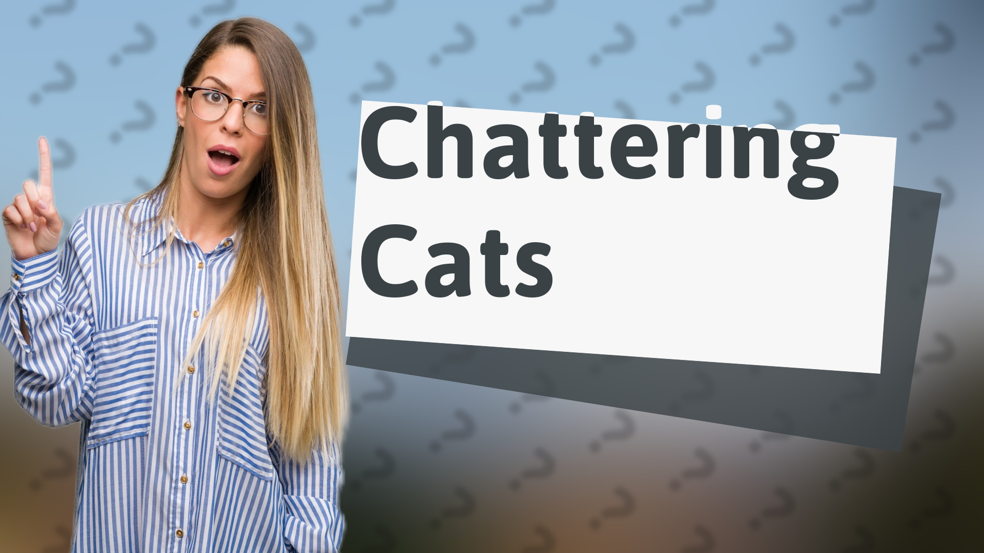 Chattering Cats