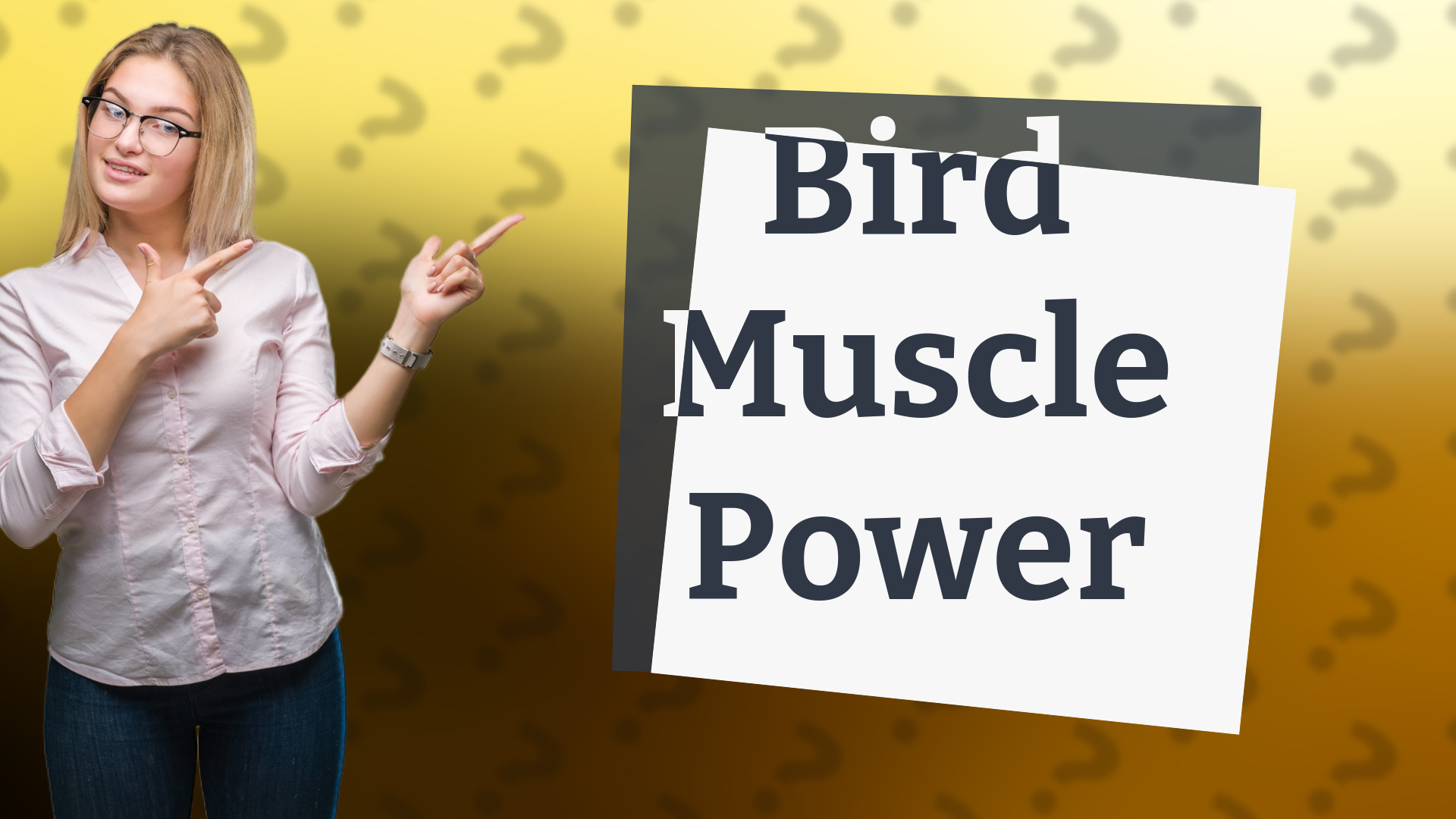 Bird Muscle Power