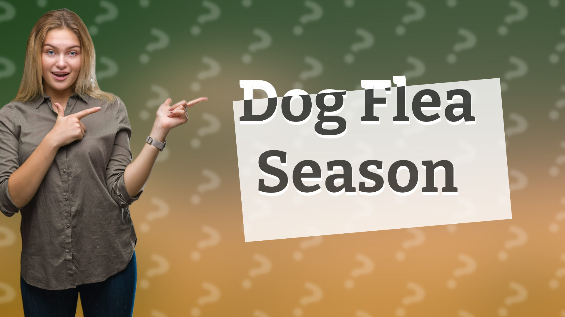 Dog Flea Season