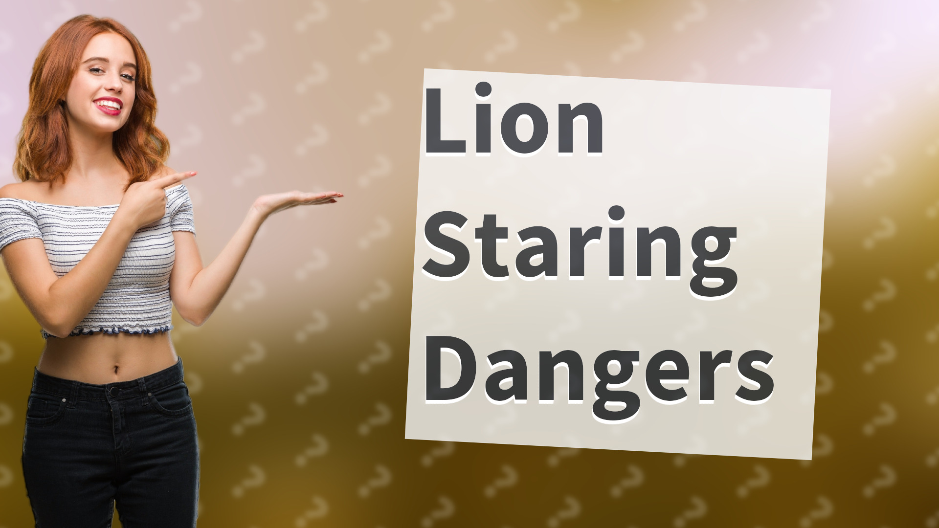 Lion Staring Dangers