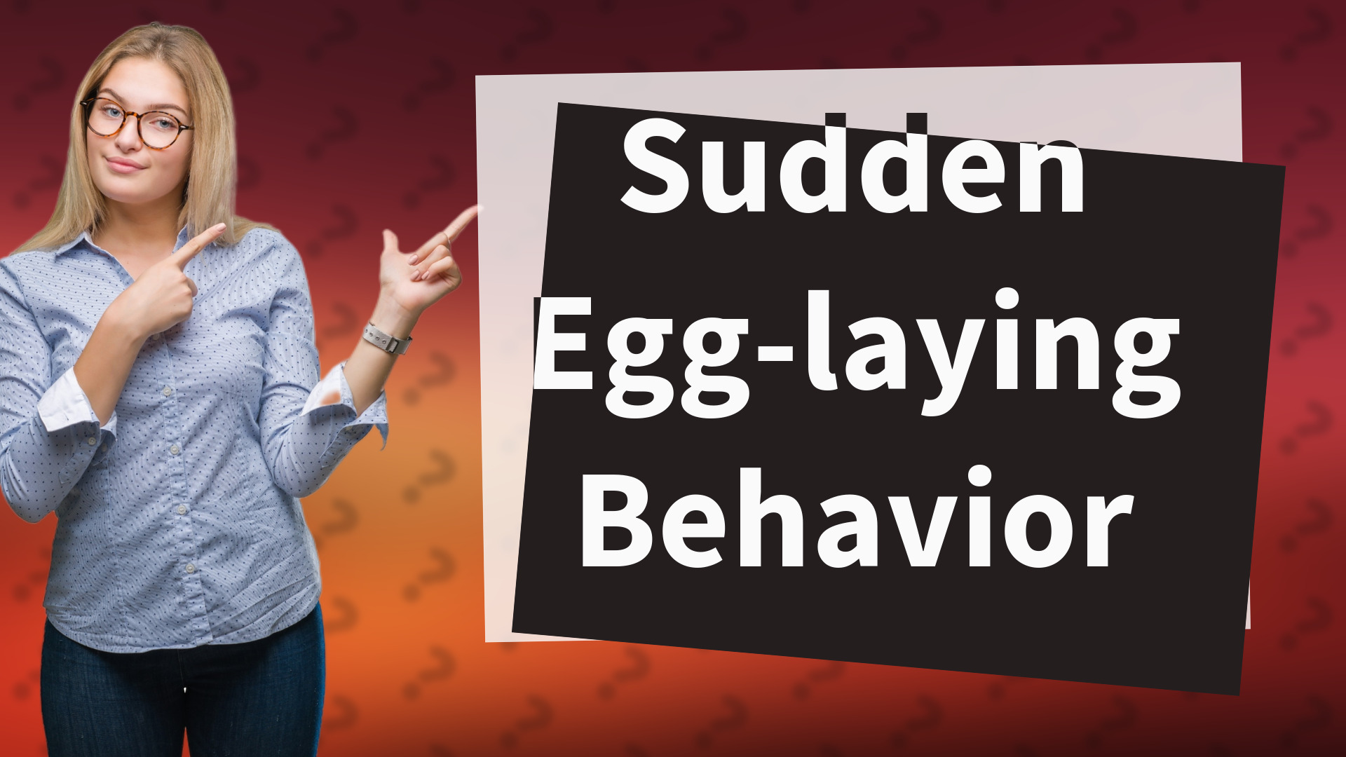 Sudden Egg-laying Behavior