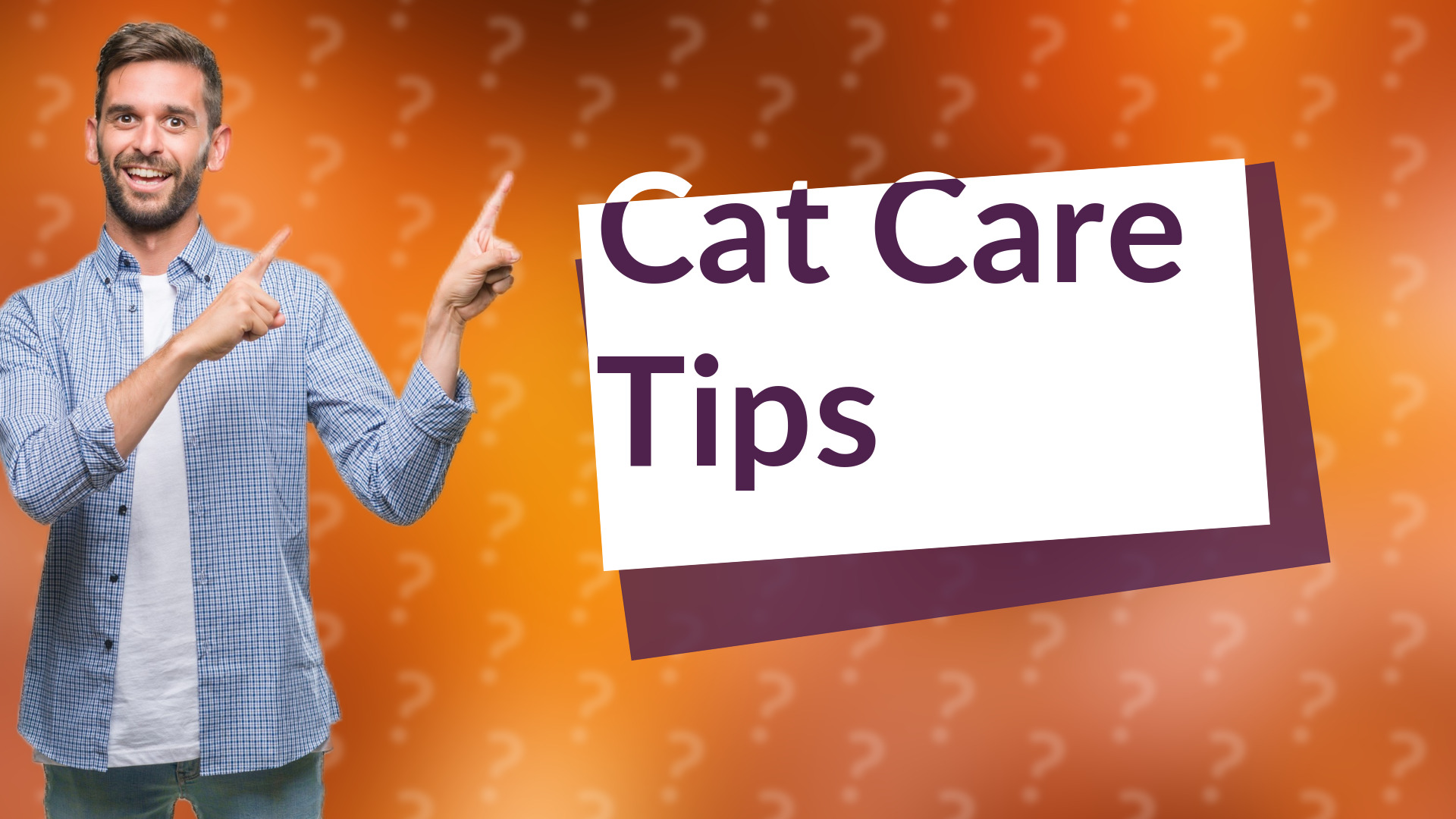 Cat Care Tips