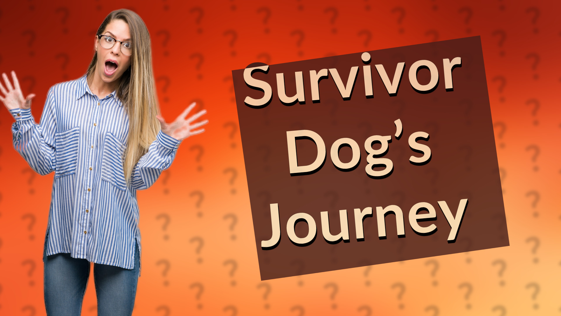 Survivor Dog’s Journey