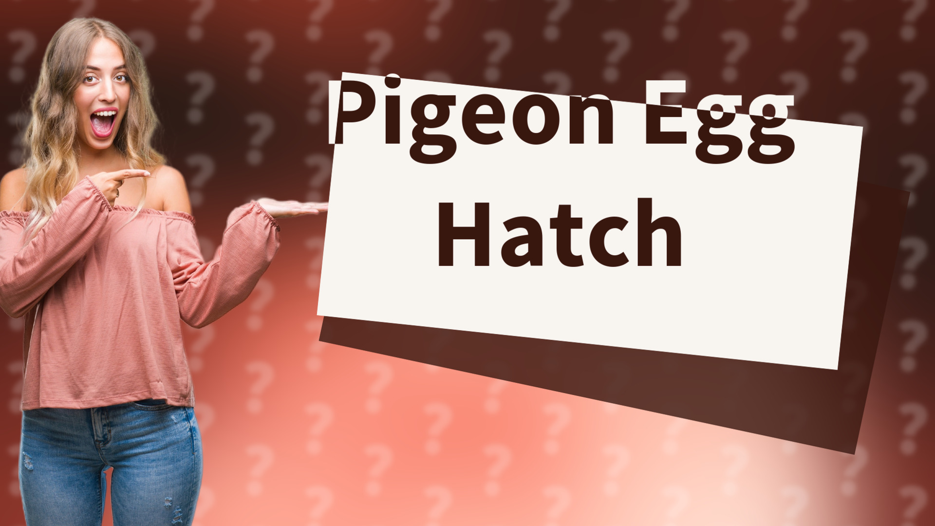 Pigeon Egg Hatch