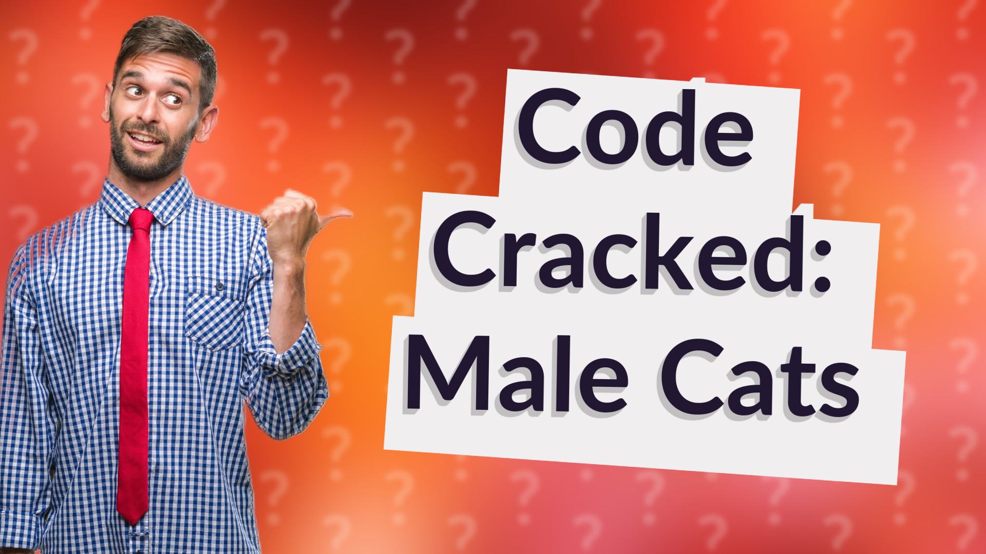 Code Cracked: Male Cats