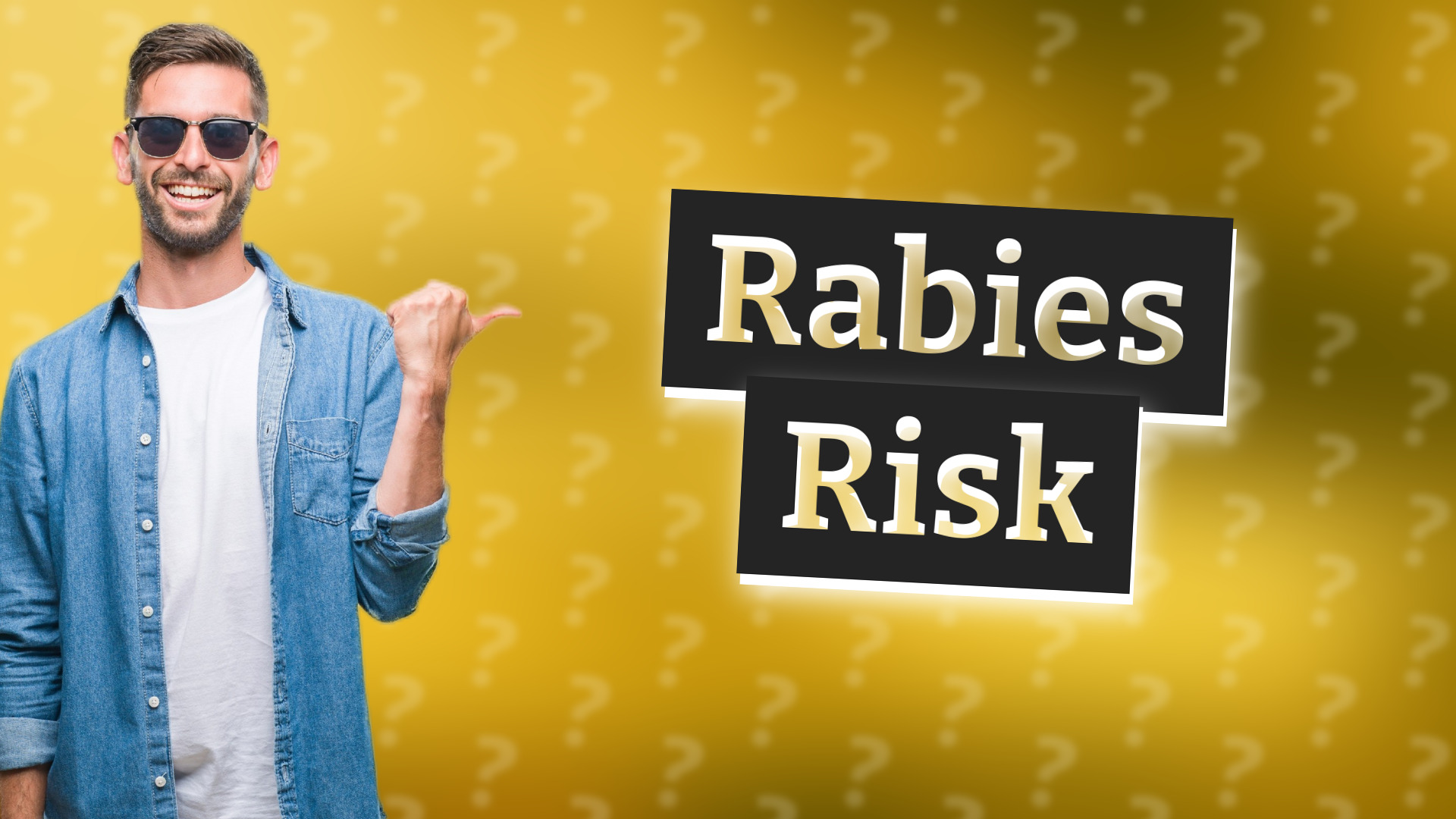 Rabies Risk
