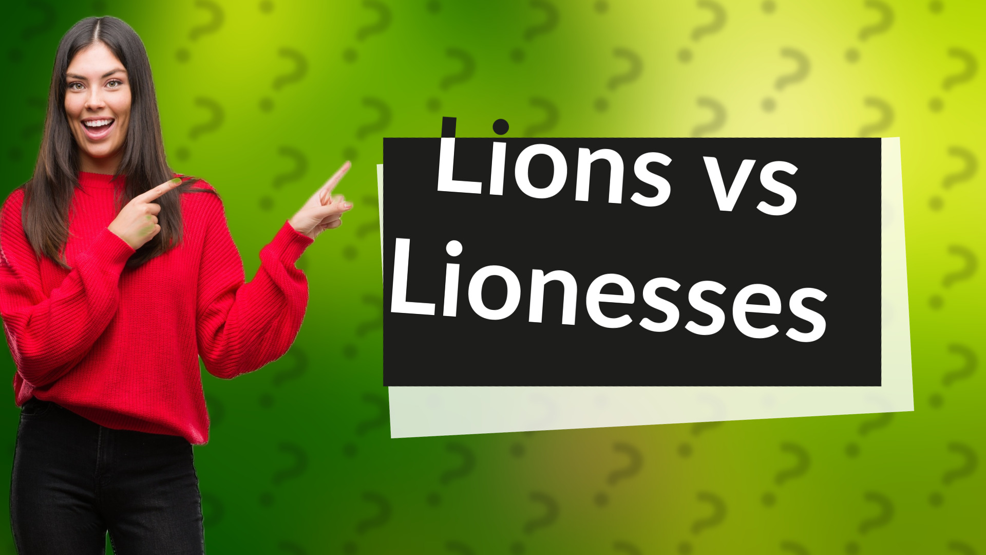 Lions vs Lionesses