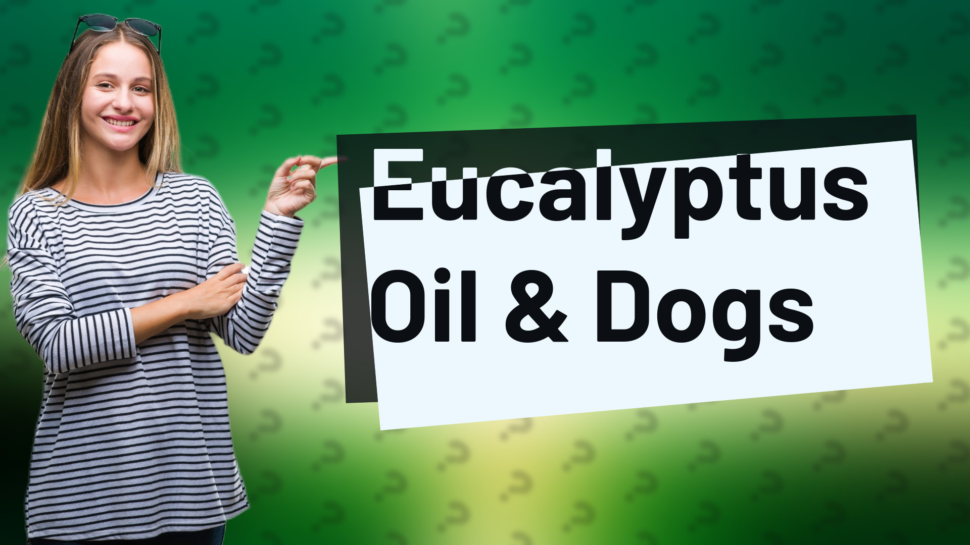 Eucalyptus Oil & Dogs