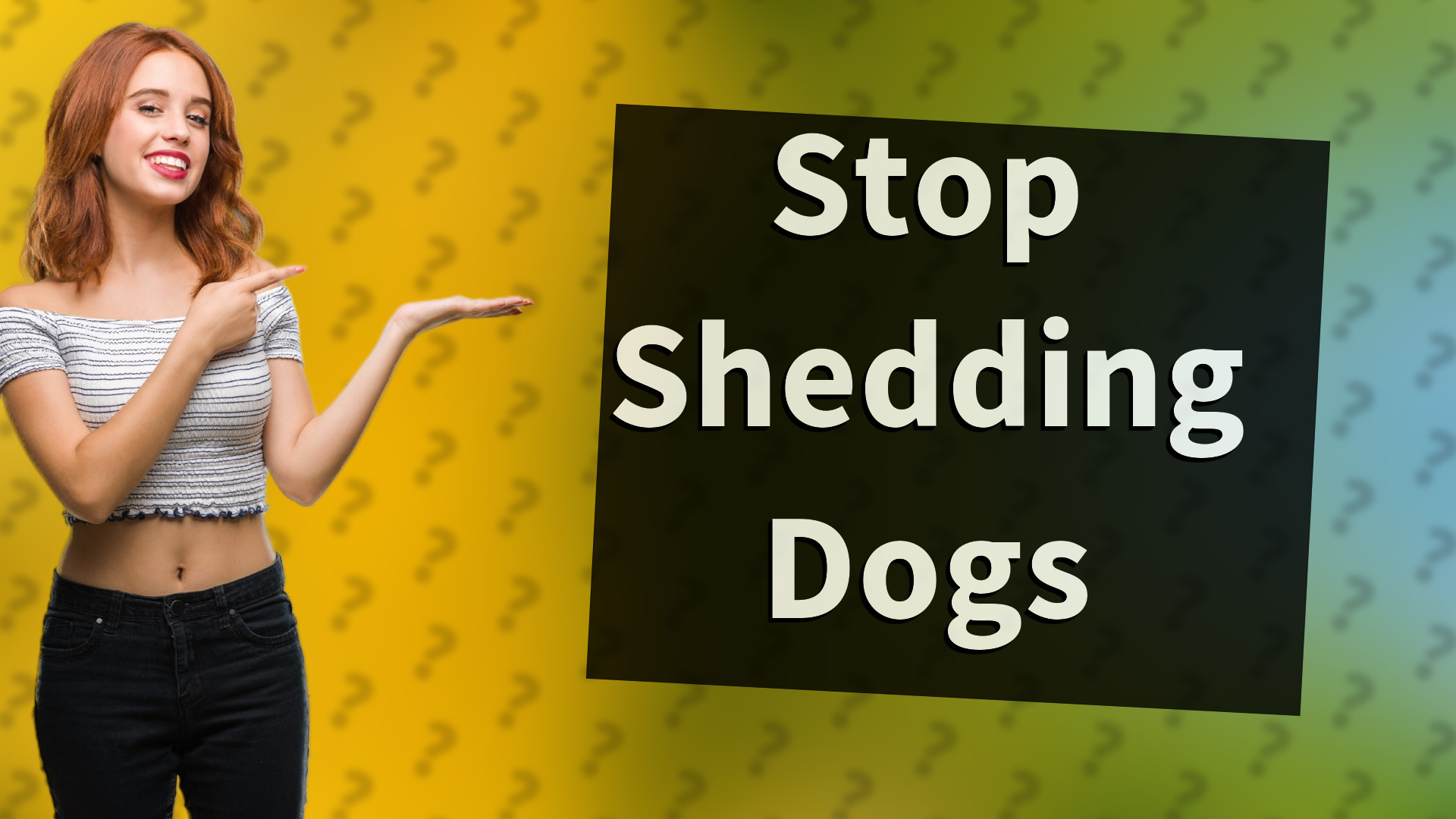 Stop Shedding Dogs