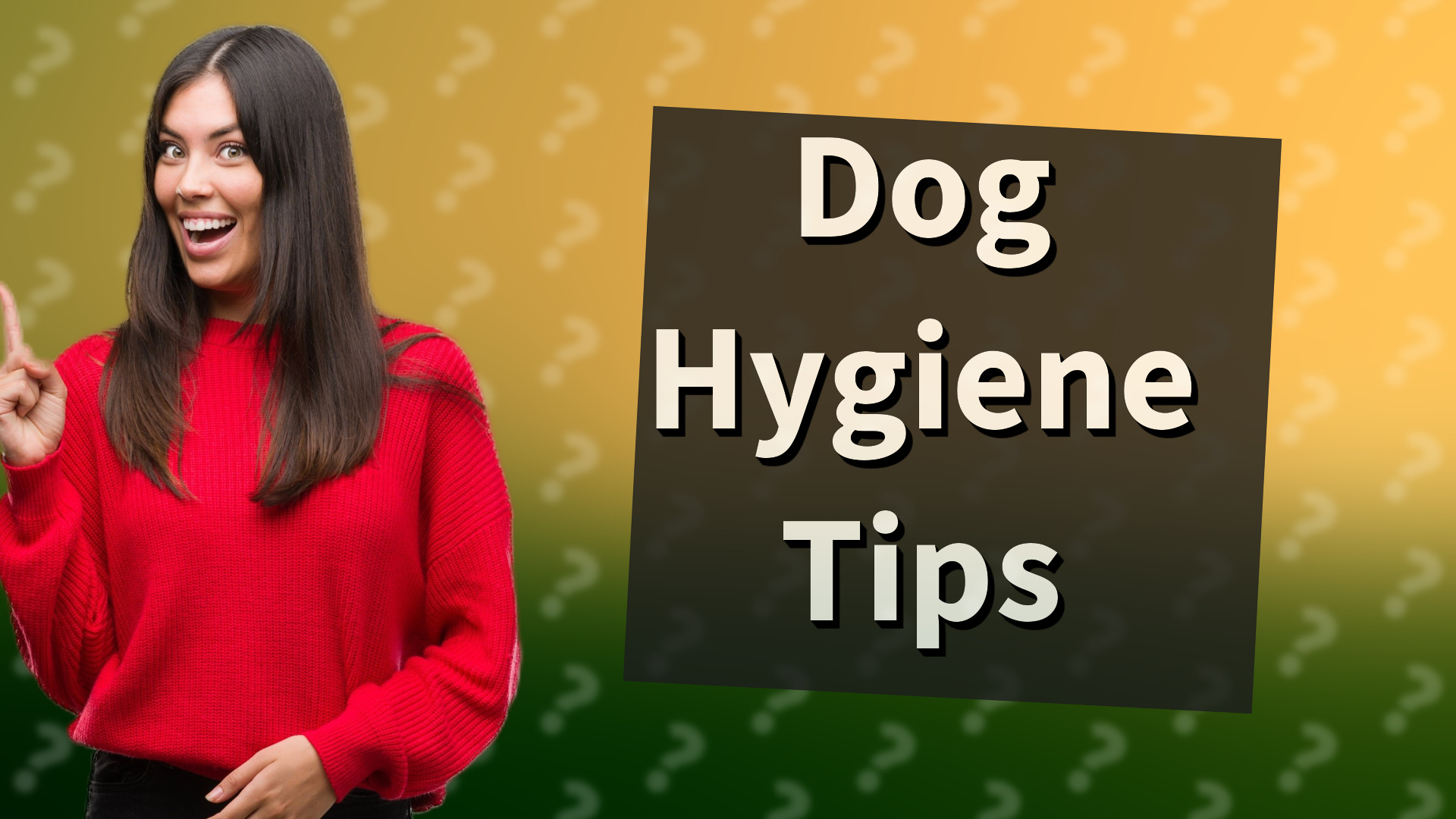 Dog Hygiene Tips